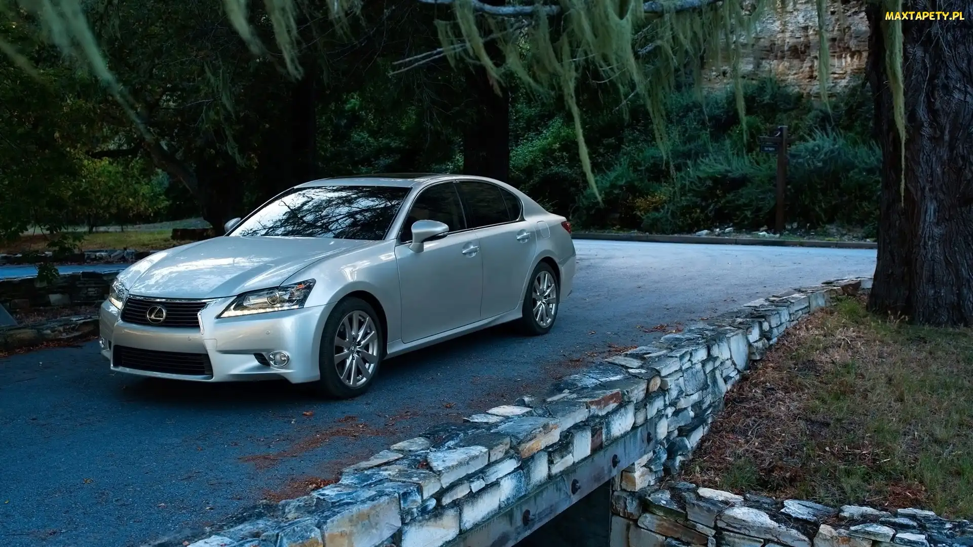 GS 350, Drzewa, Lexus