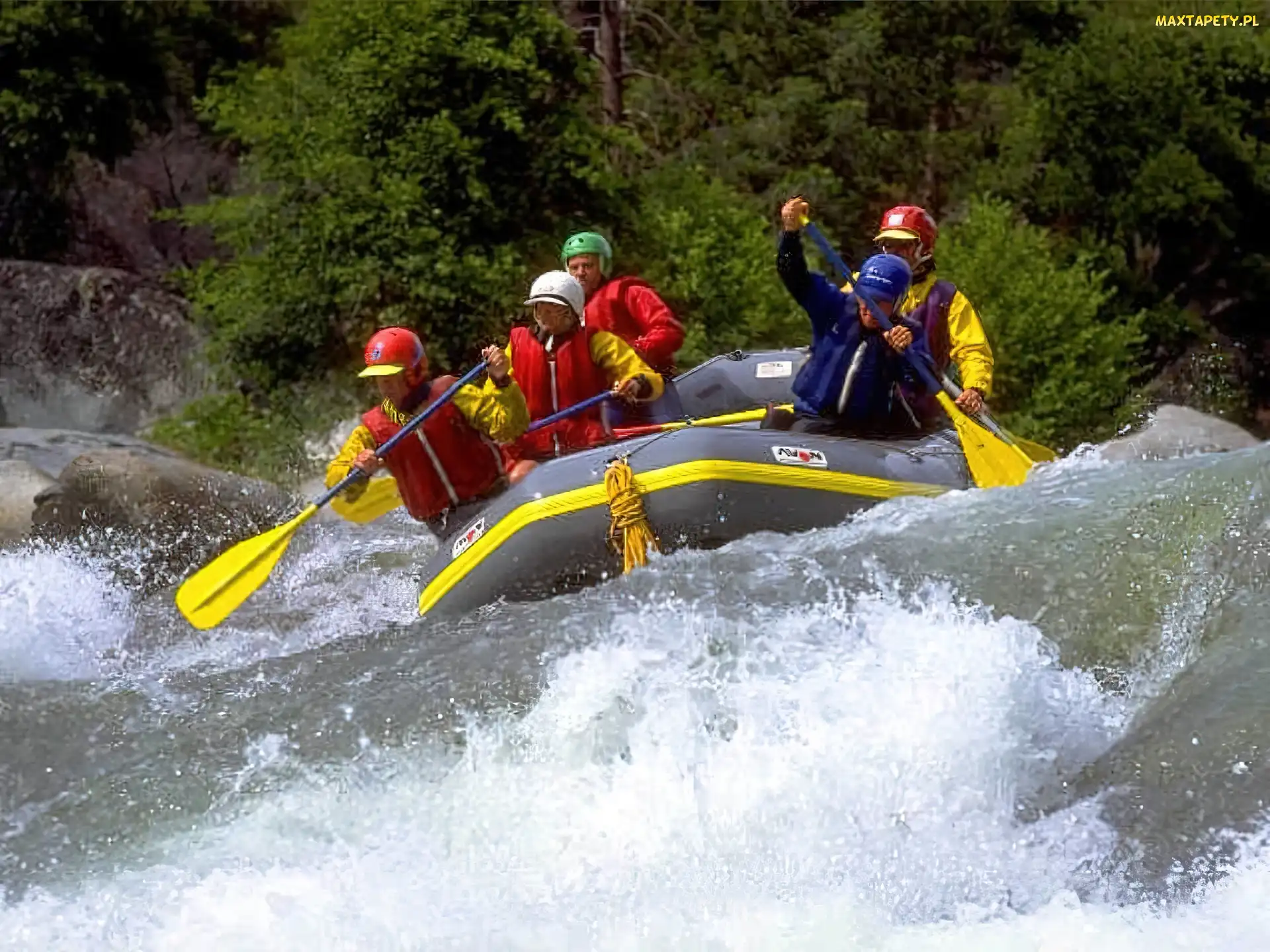 spływ, ponton, wiosła , rzeka, Rafting