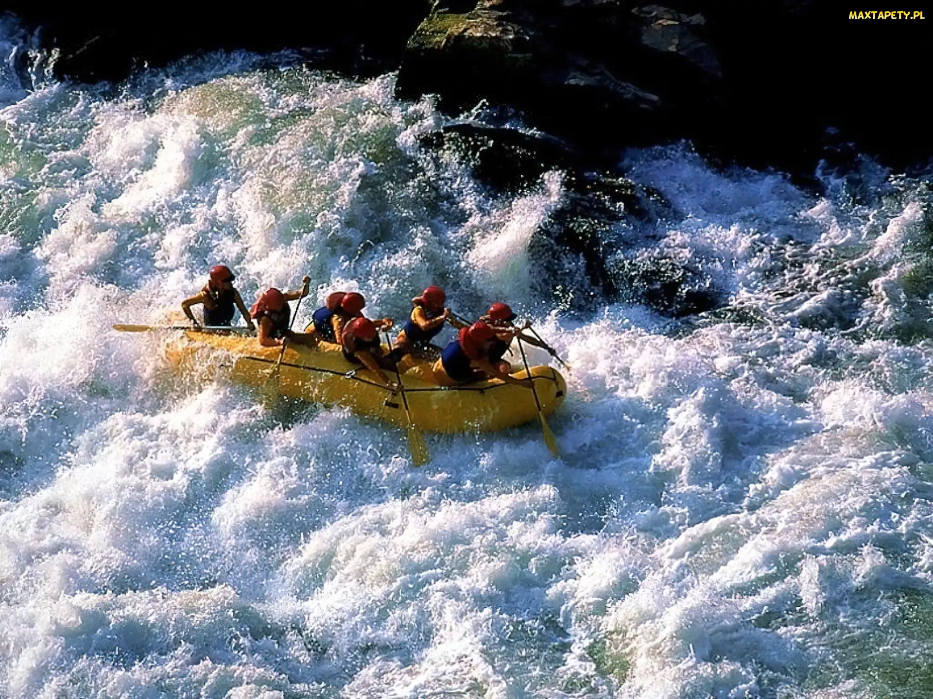 spływ, ponton, wiosła , rzeka, Rafting