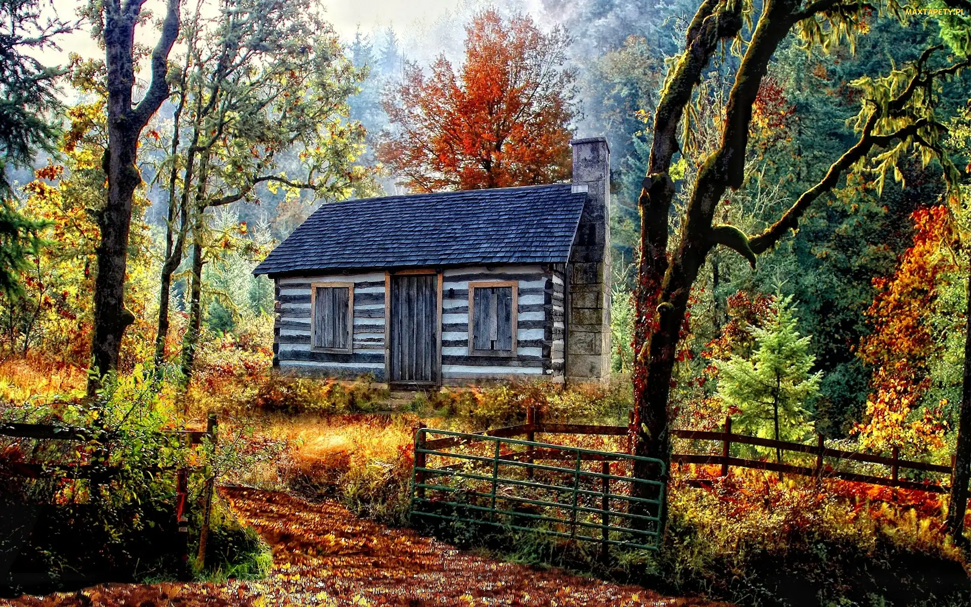 Domek, Płot, Las