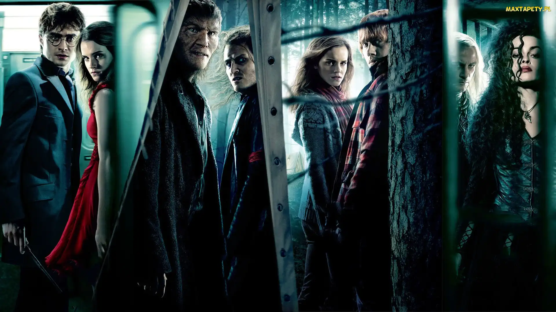 Harry, Bohaterowie, Potter