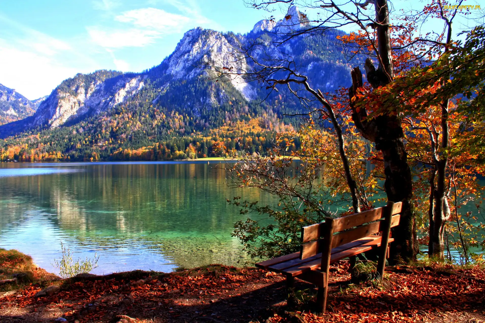 Lasy, Góry, Niemcy, Ławka, Schwangau, Bawaria, Jezioro