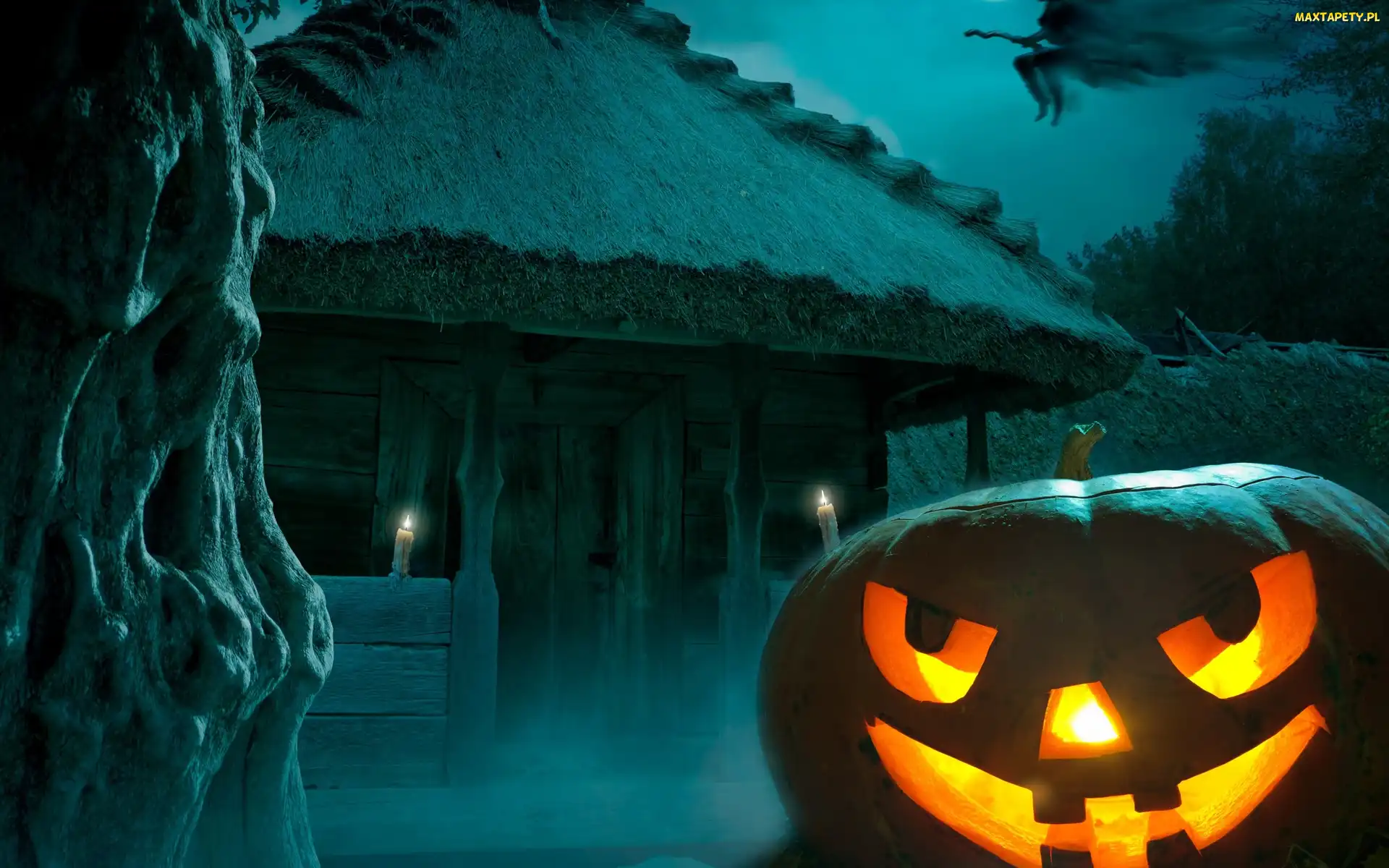 Chata, Noc, Halloween, Dynia