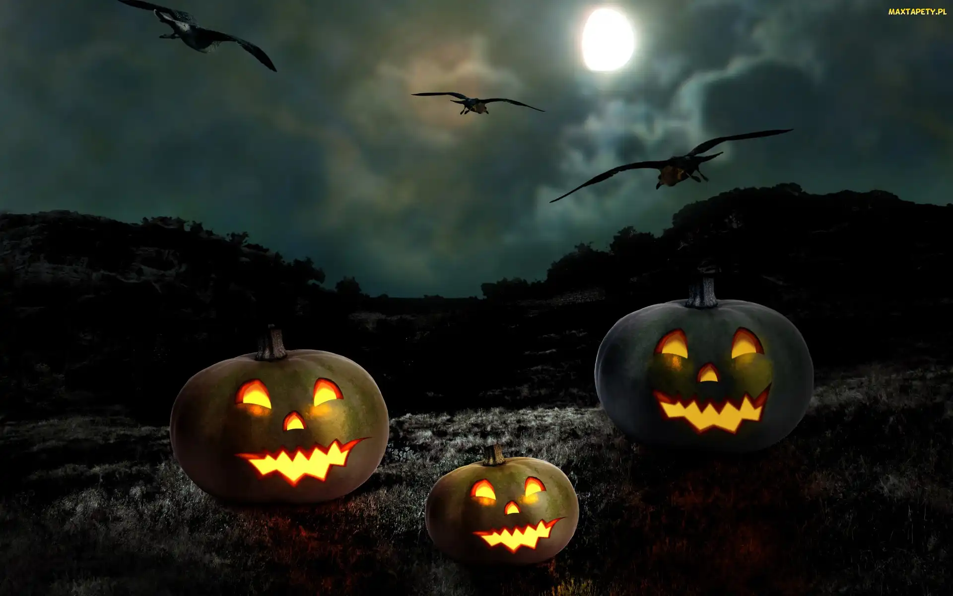 Ptaki, Dynie, Halloween, Noc