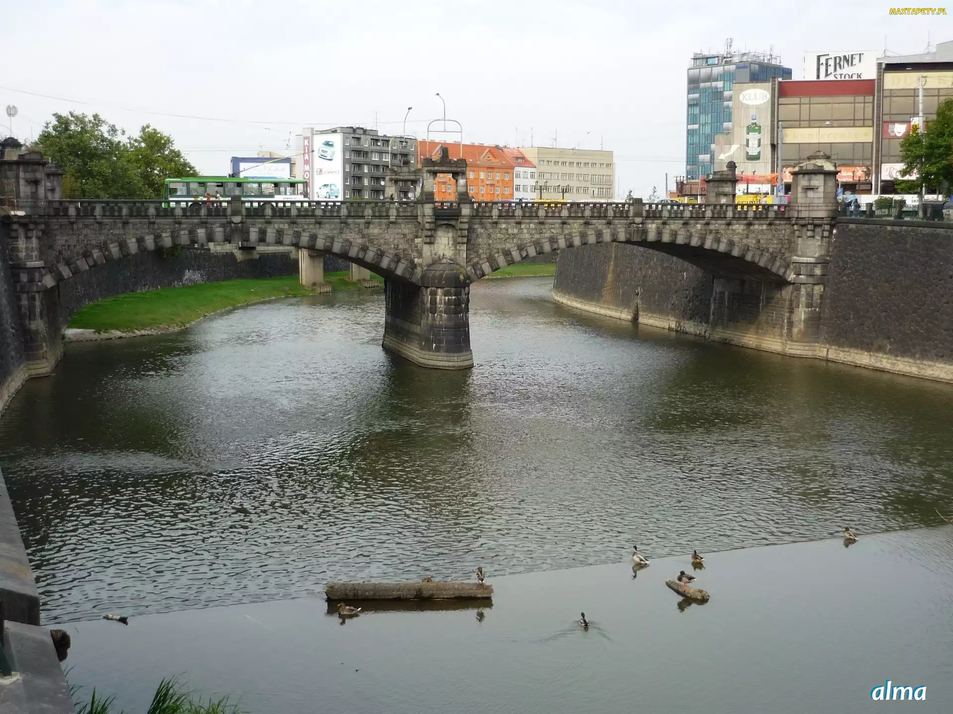 Plzeń, Rzeka, Most, Panorama, Czechy