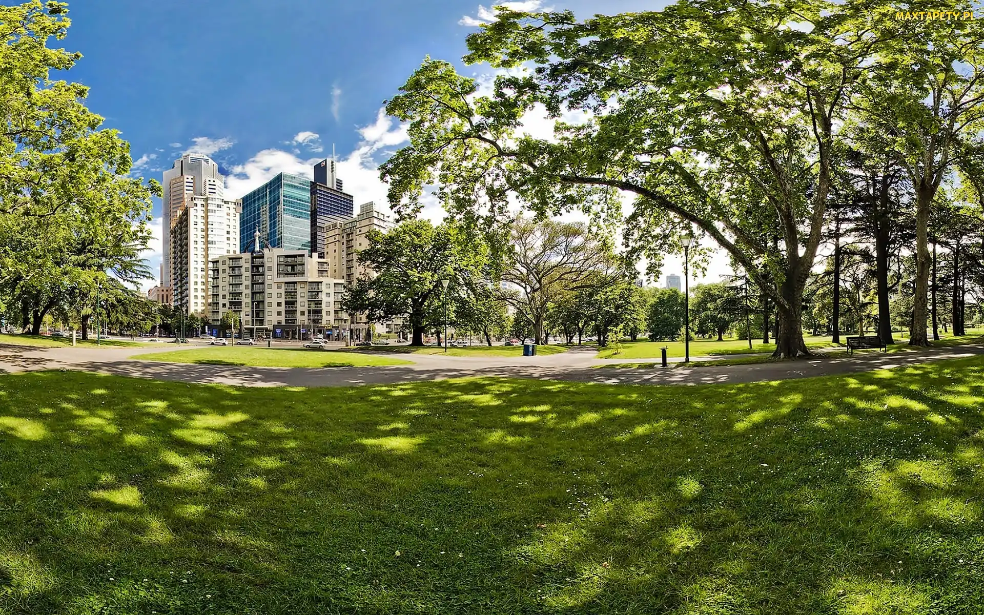 Chmur, Gardens, Drapacze, Carlton, Światło, Park,
Melbourne, Przebijające