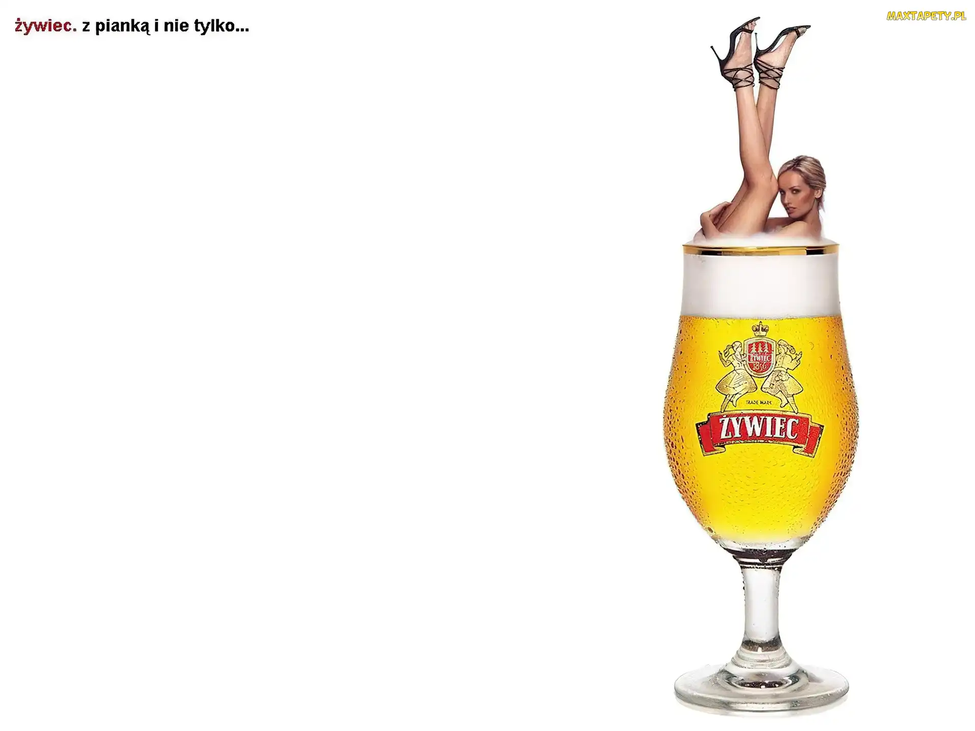 Piwo Żywiec, kobieta, Piwo