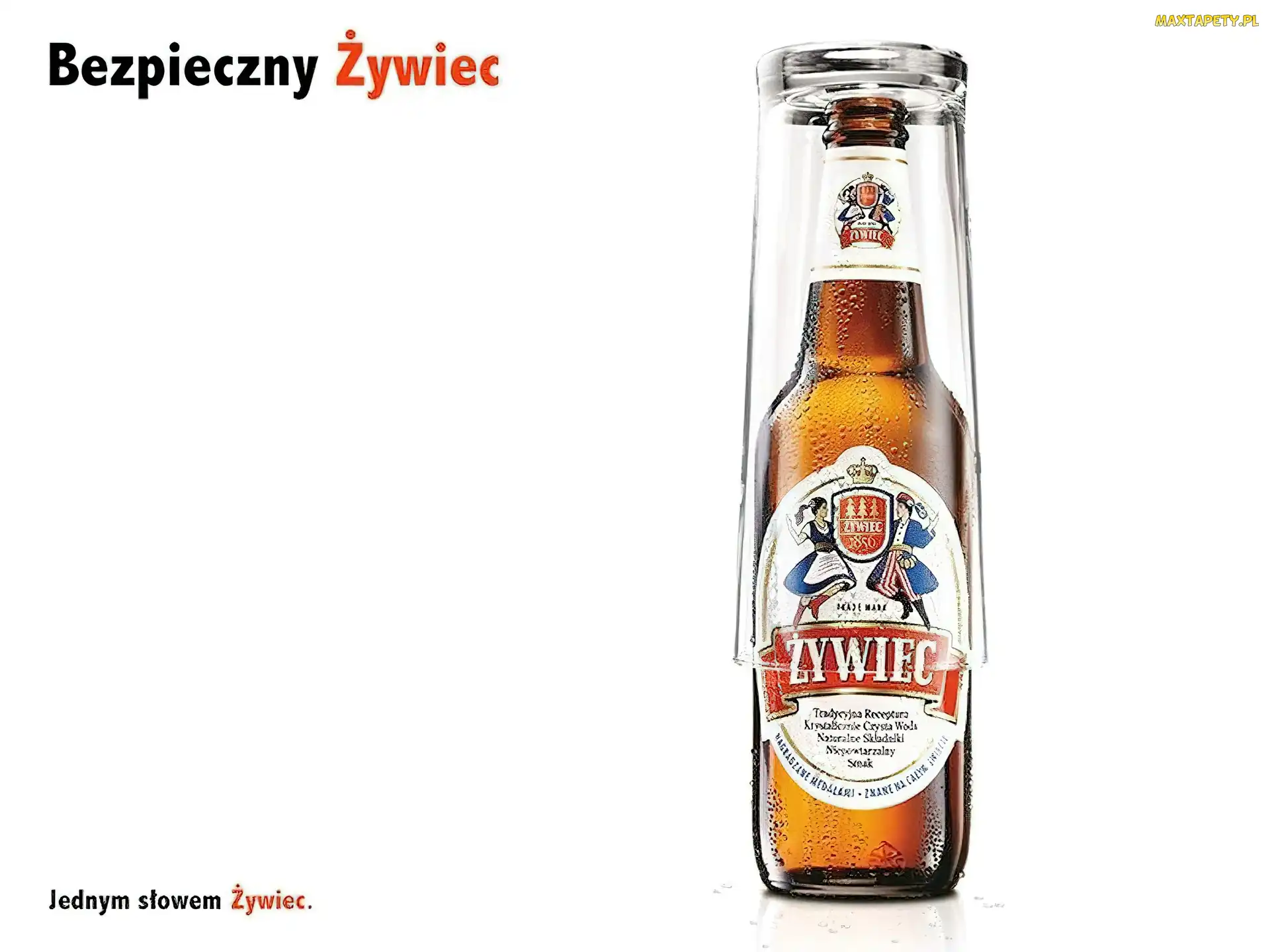 Piwo Żywiec, szklanka, Piwo