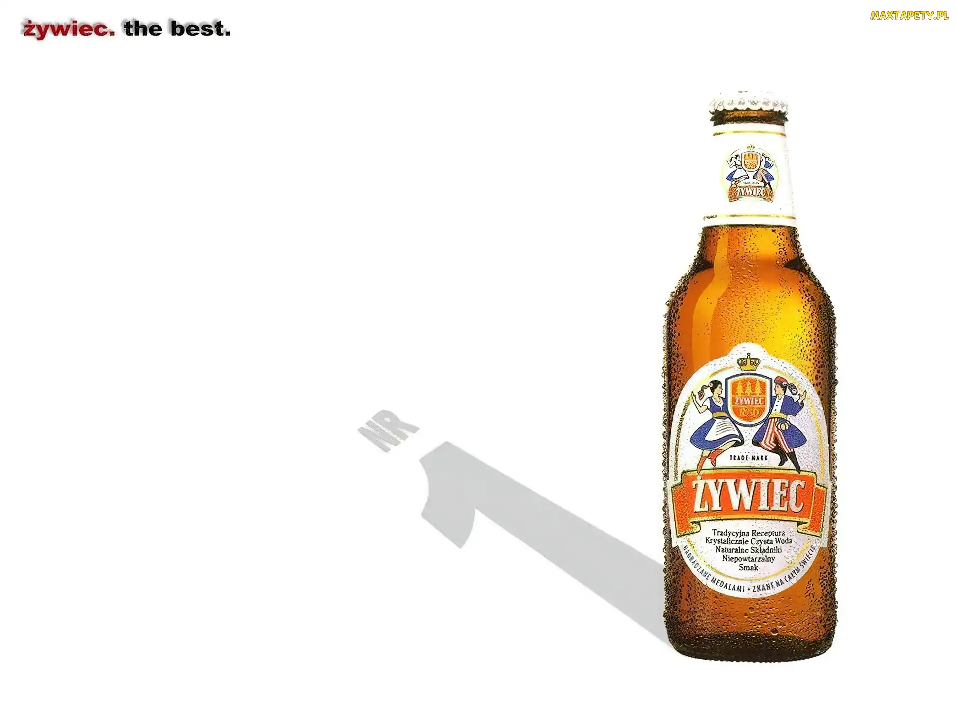 Piwo, Piwo Żywiec
