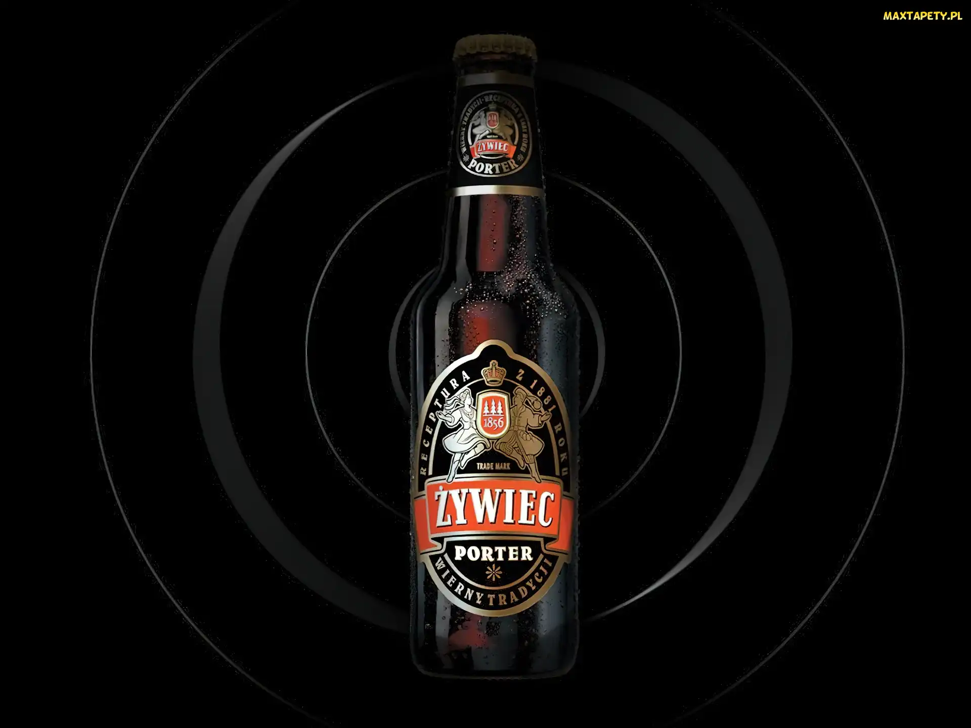 Piwo, porter, Piwo Żywiec