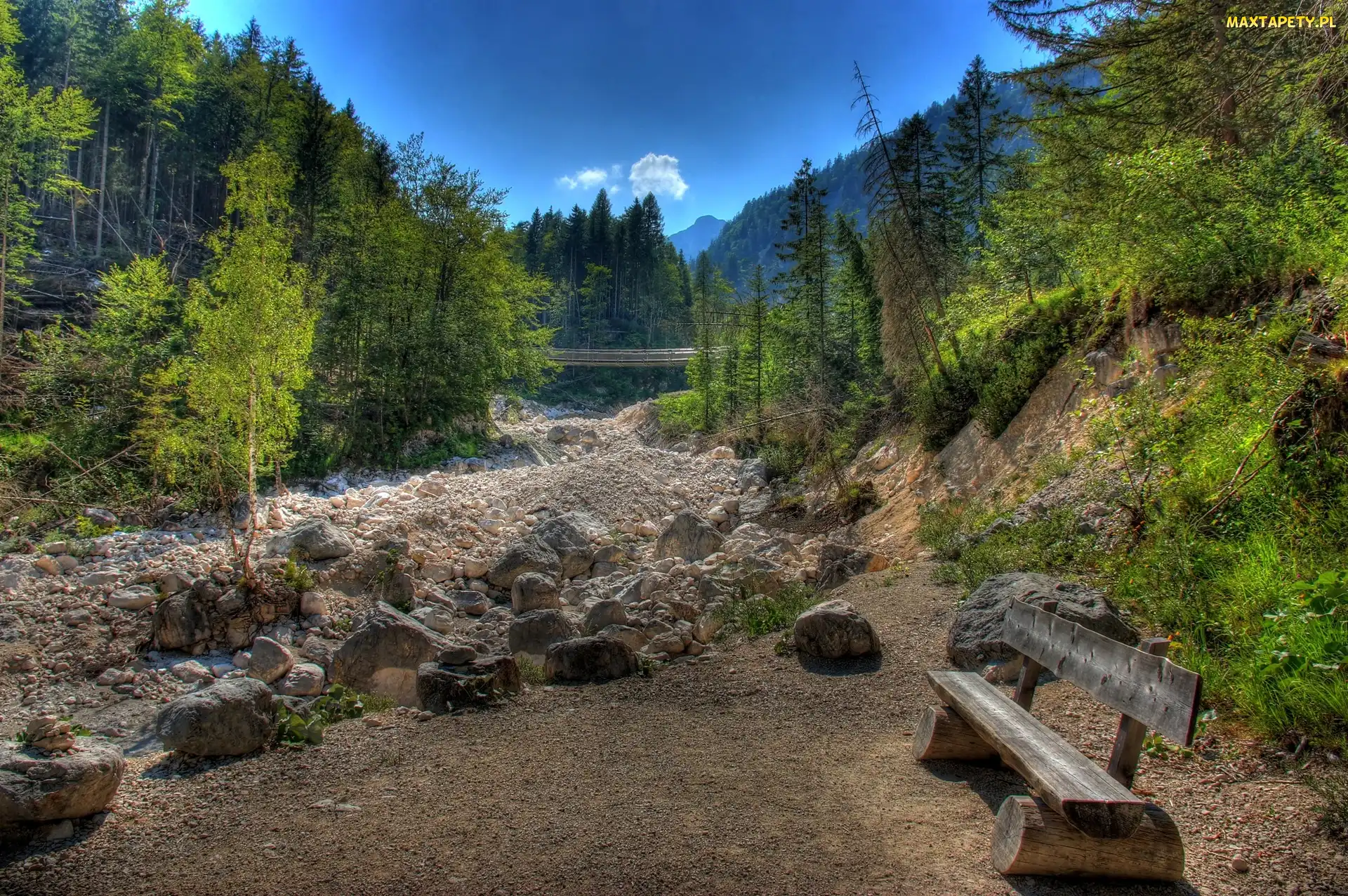 Góry, Ławka, Kamienie, Las