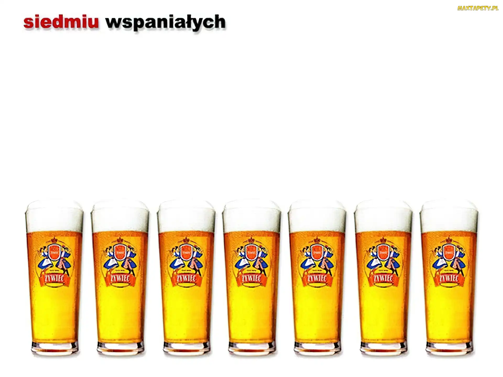 Piwo Żywiec, pianka, Piwo