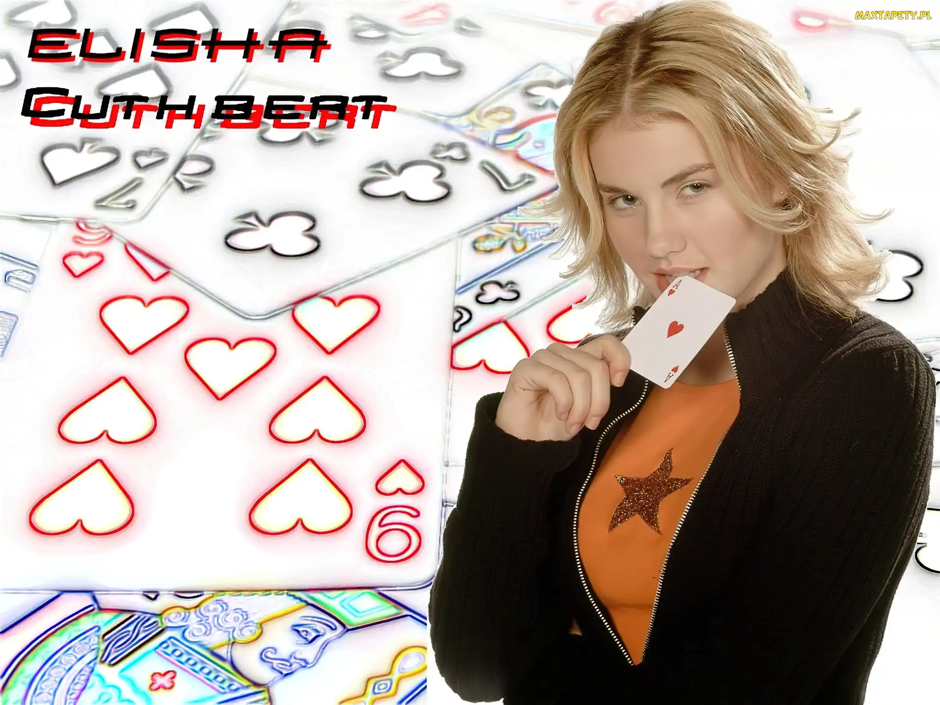 karty, Elisha Cuthbert
