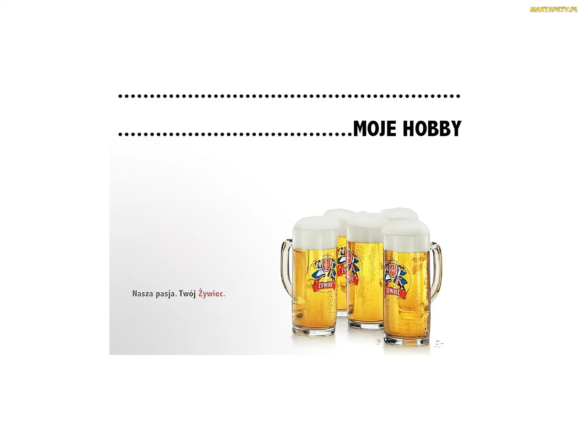 Piwo, pokale, Piwo Żywiec