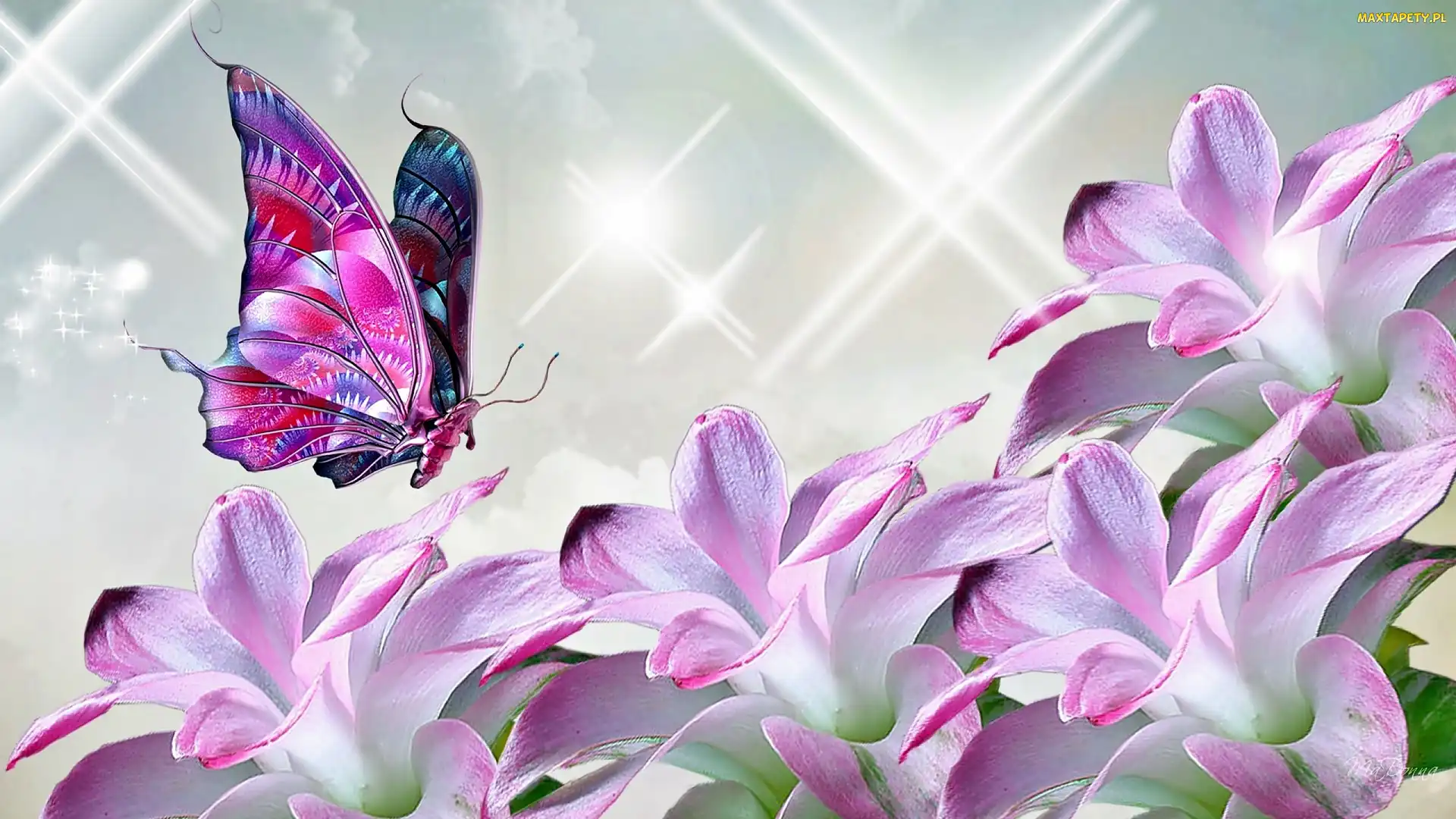 Motyl, Fantasy, Kwiaty