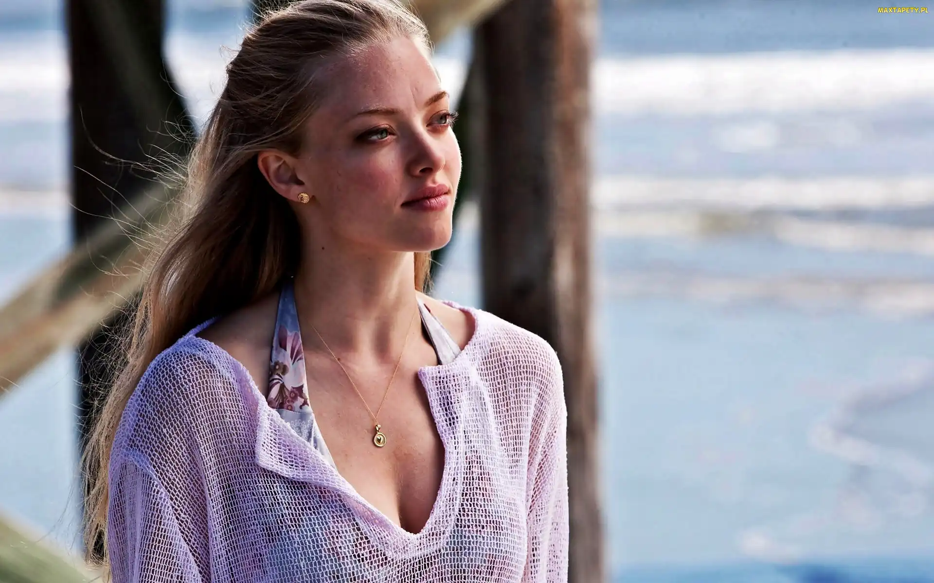 Amanda, Aktorka, Seyfried