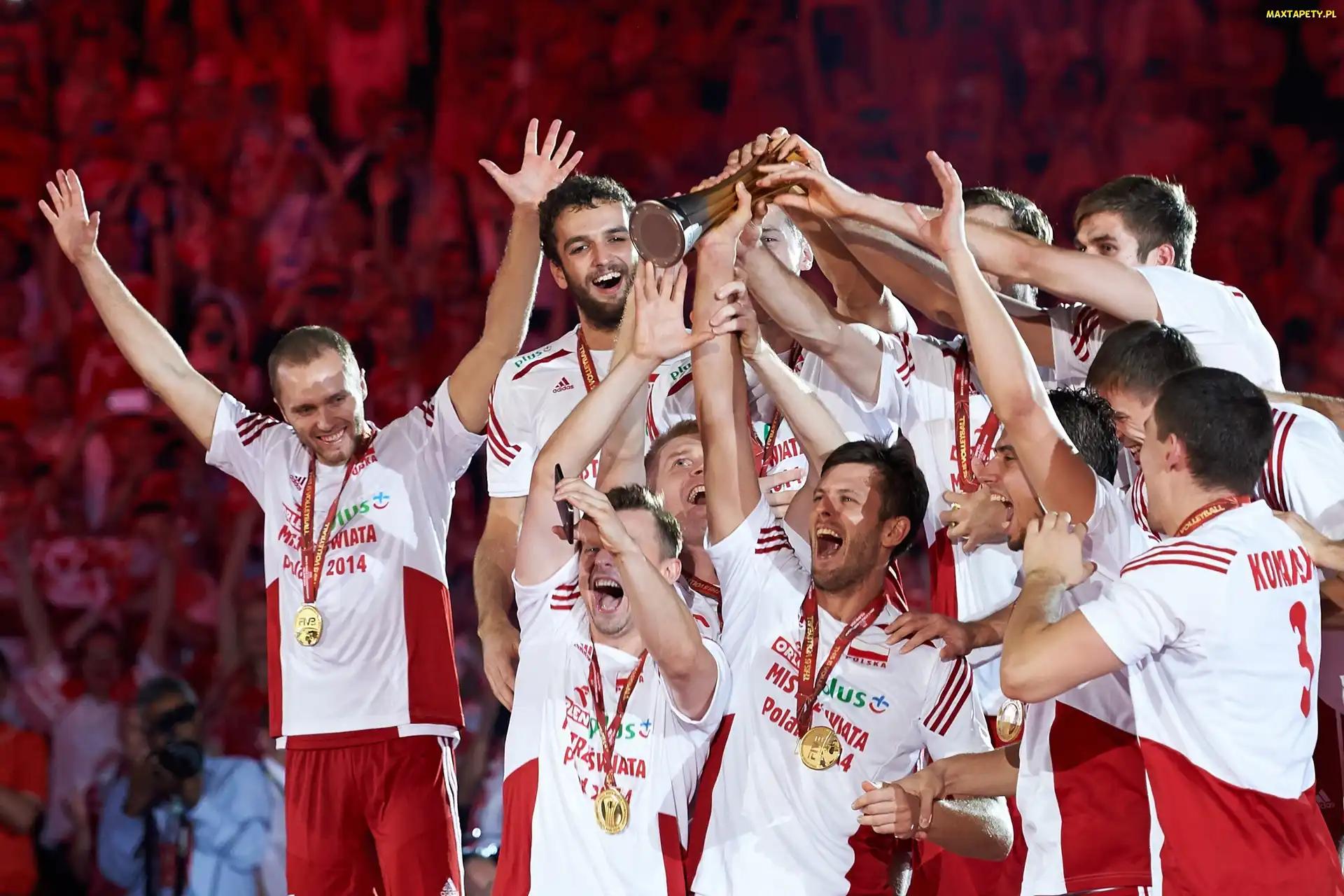 2014, Mistrzowie Świata, Siatkówka, Reprezentacja Polski