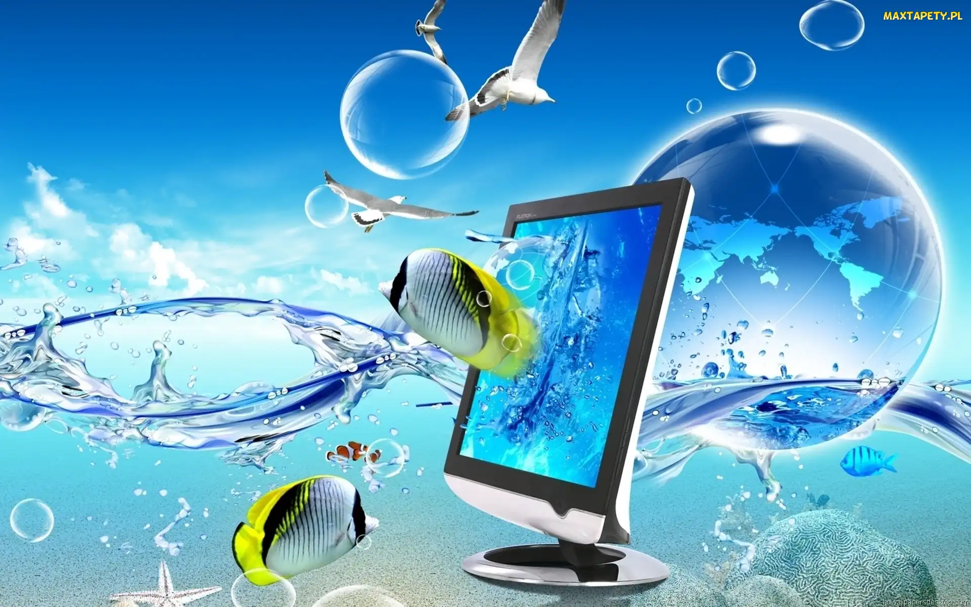 4D, Monitor, Woda, Efekt, Grafika