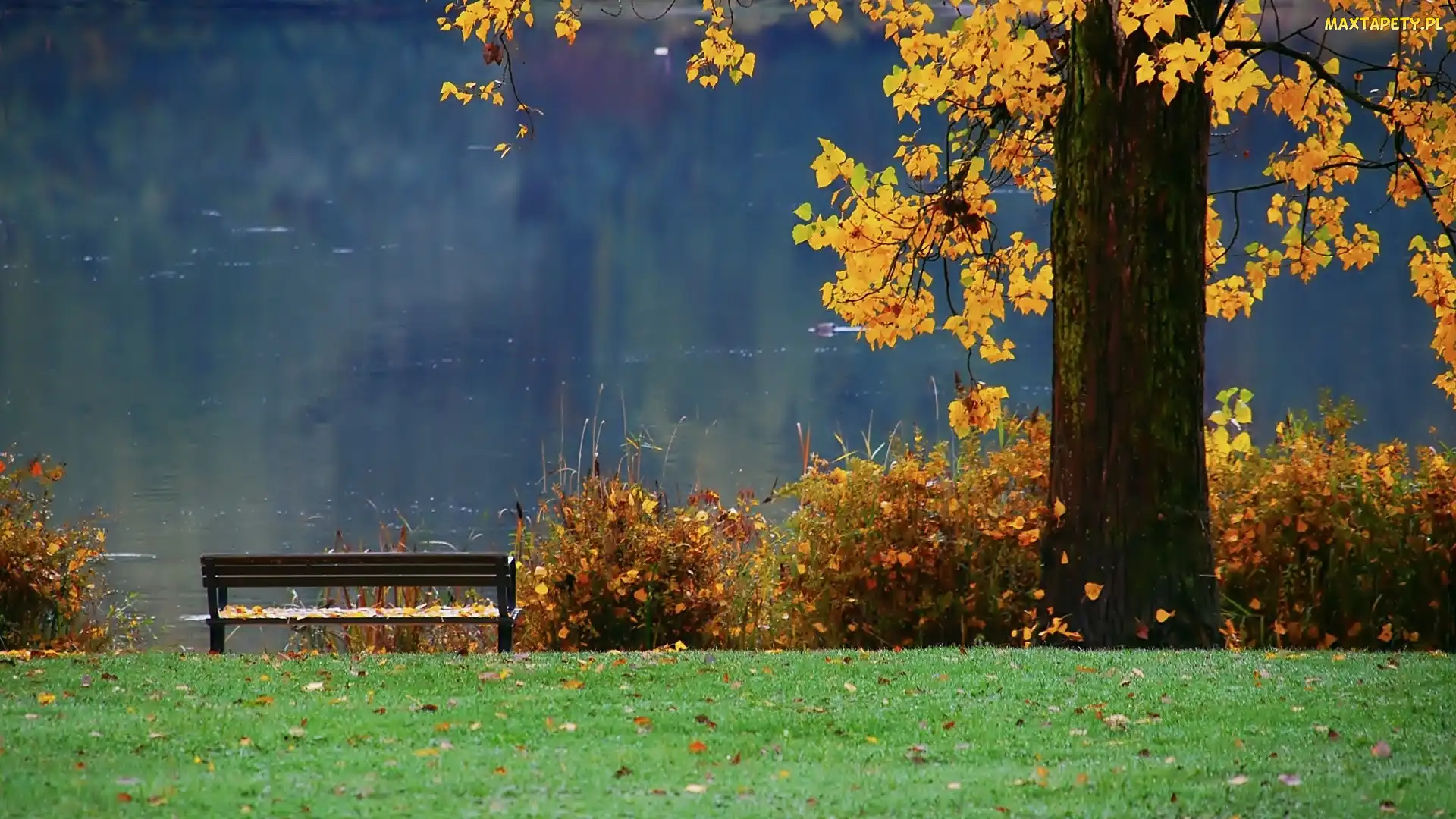 Park, Ławka, Jesień, Jezioro
