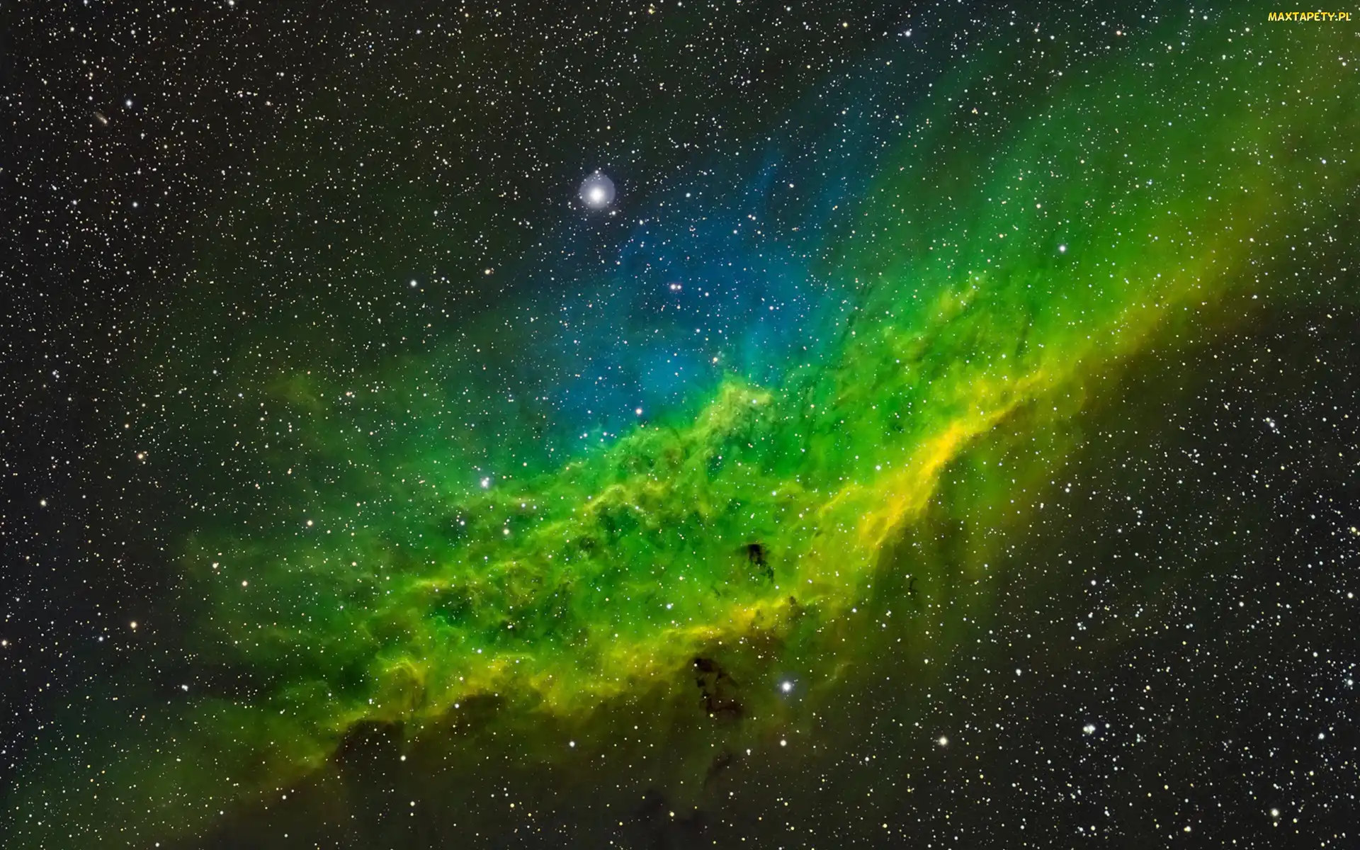 Kosmos, Mgławice, Gwiazdy