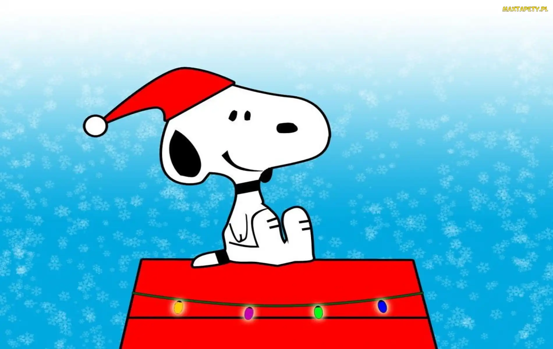 kreskówka, czapka, dilm animowany, bajka, Snoopy