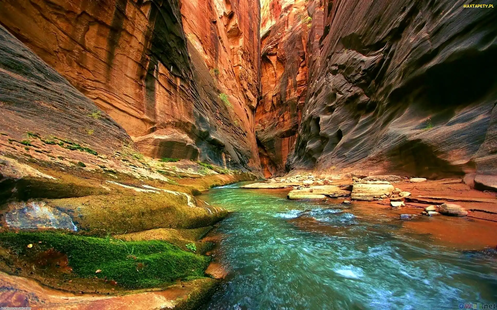 Rzeka, Skały, Stan Utah, Stany Zjednoczone, Park Narodowy Zion, Kanion
