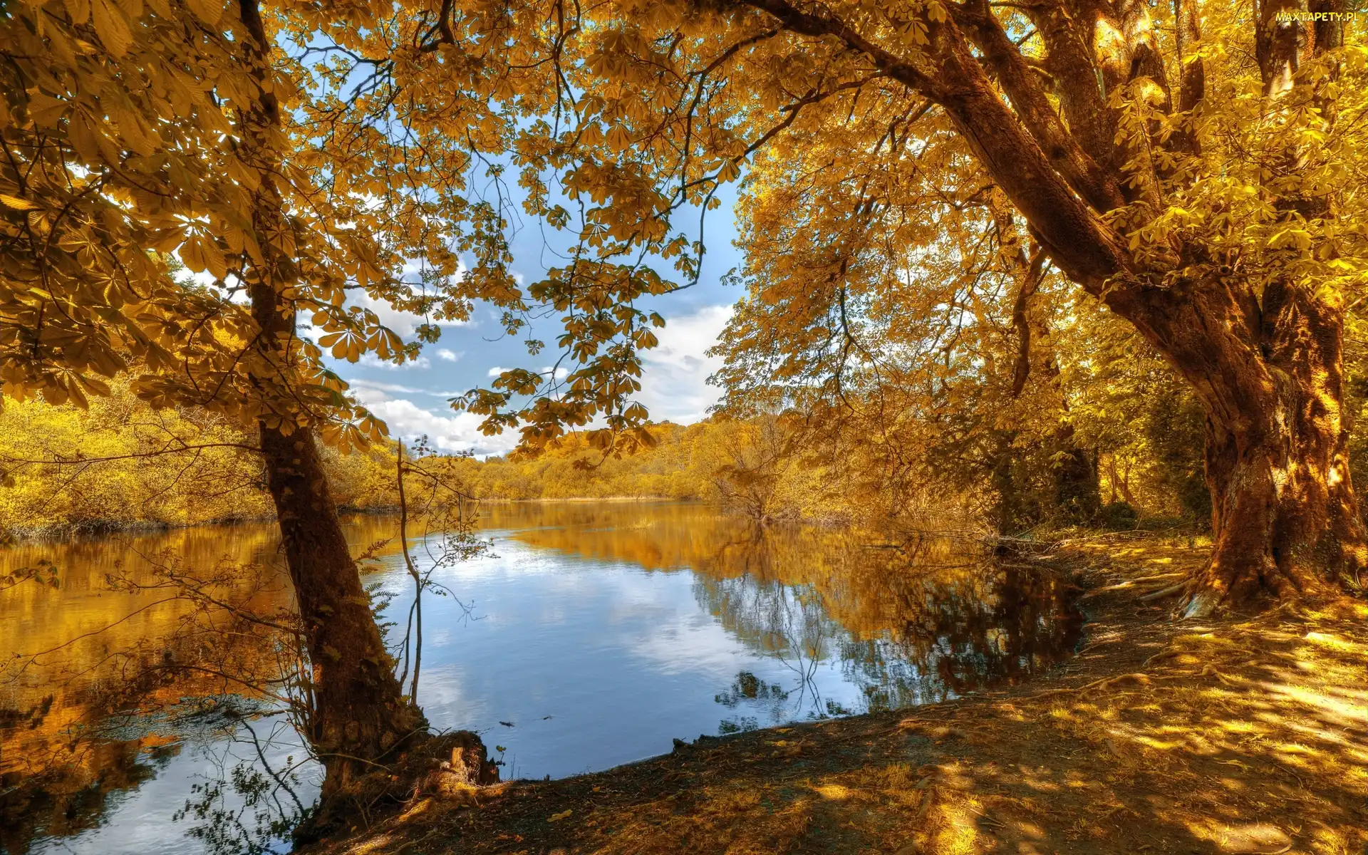 Jeziorko, Jesień, Park