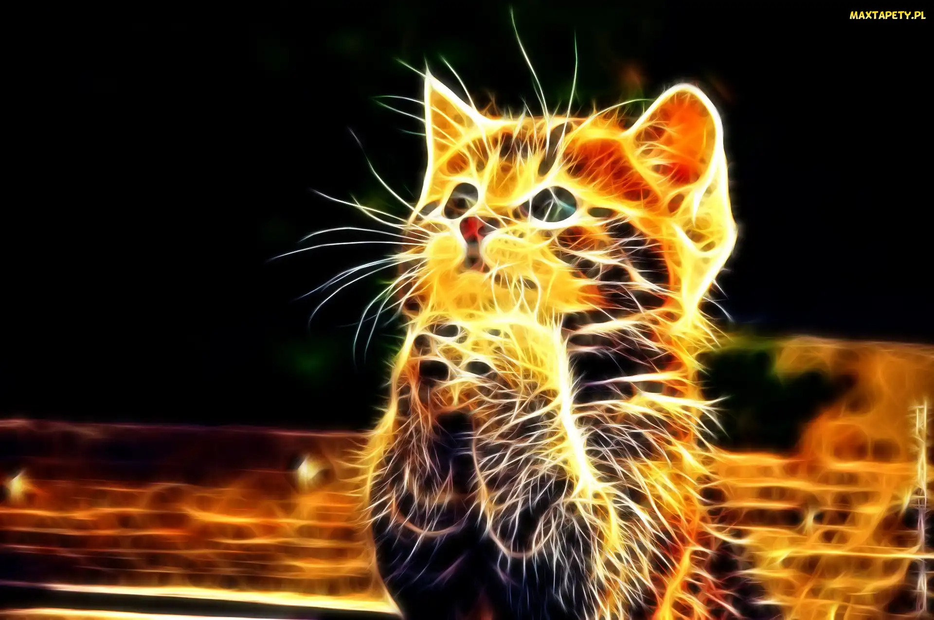 Kot, Fractalius
