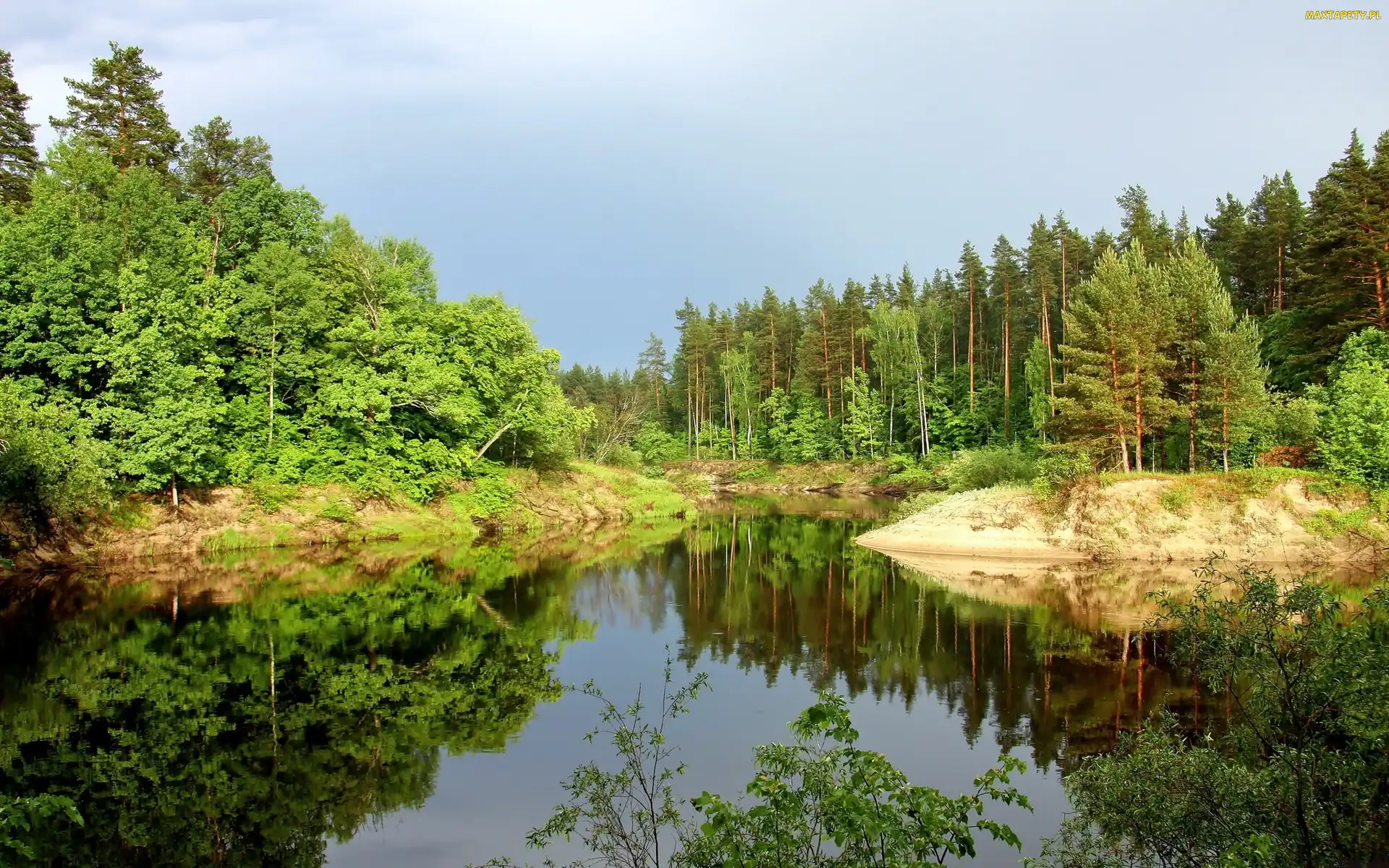 Las, Odbicie, Cień, Światło, Jezioro