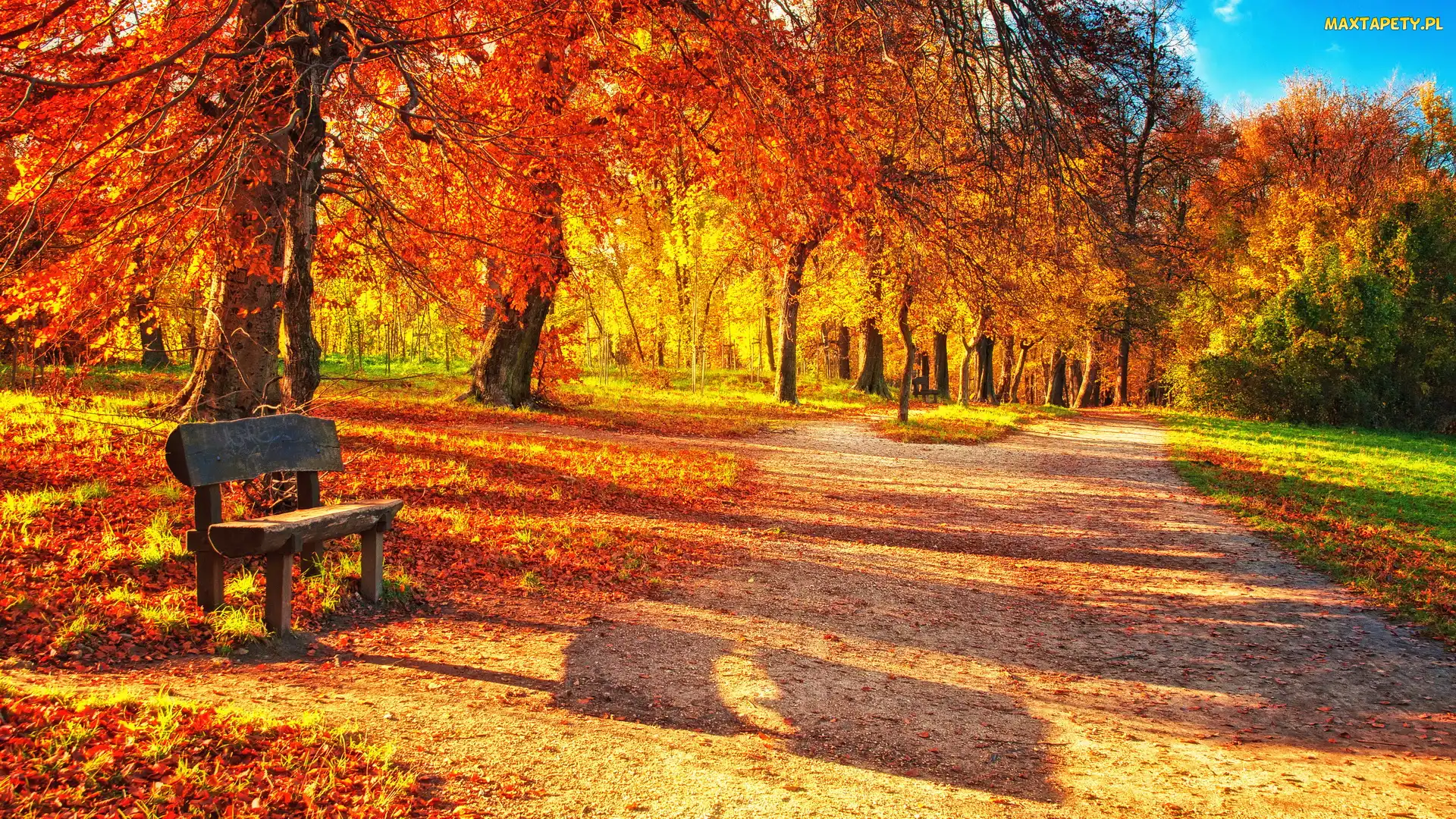 Jesień, Ławka, Park