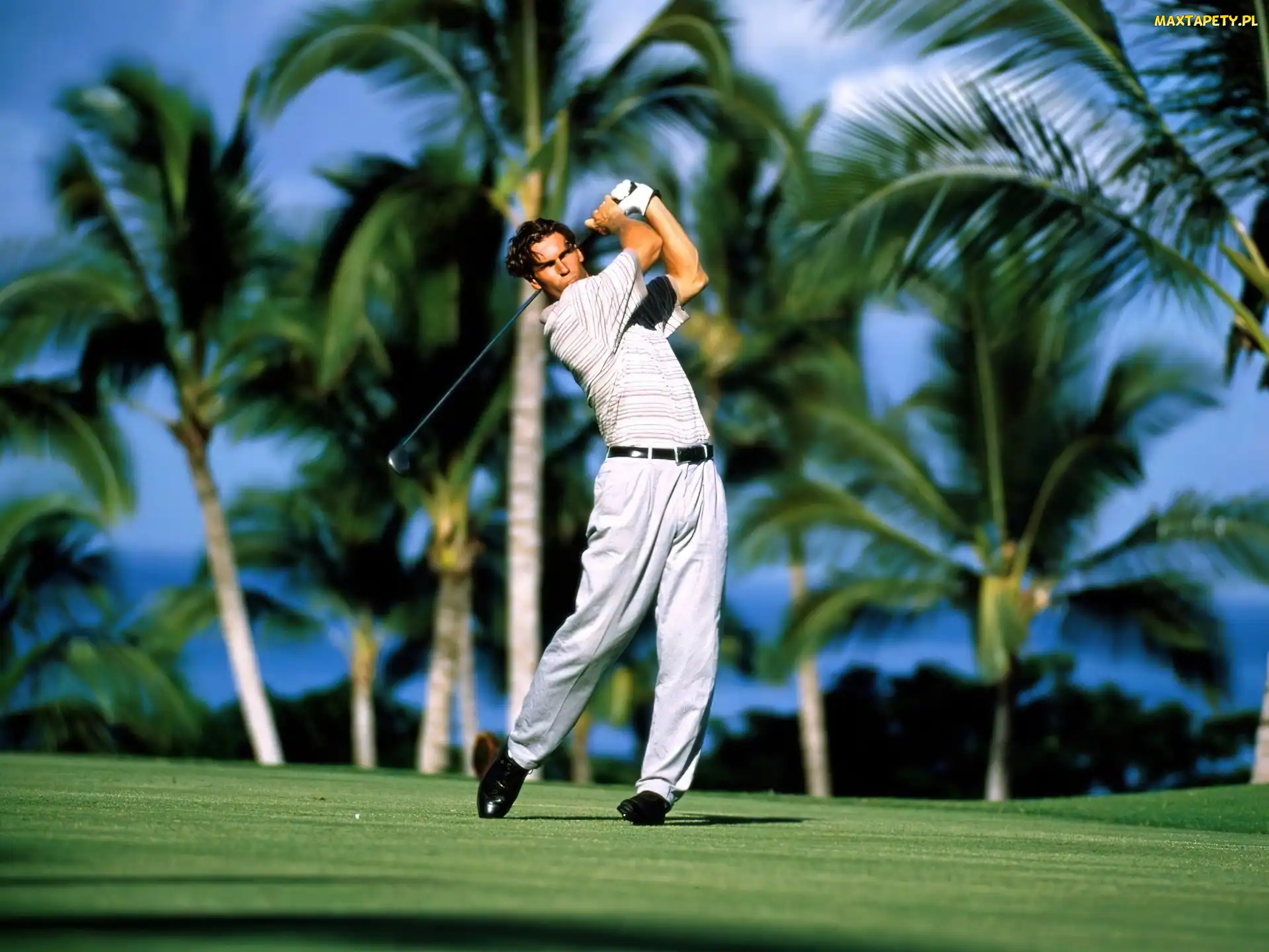 Sportowe Golf, kij golfowy