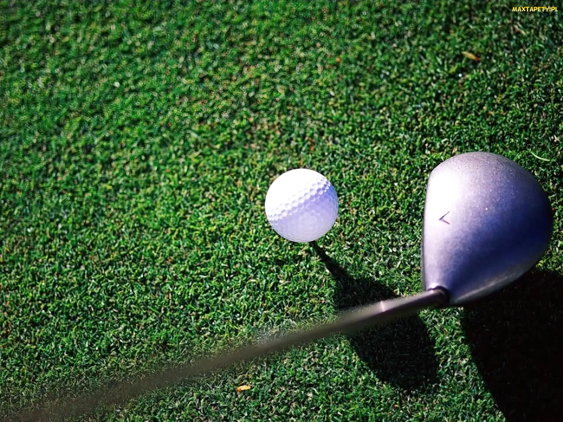 Sportowe Golf, piłka do golfa