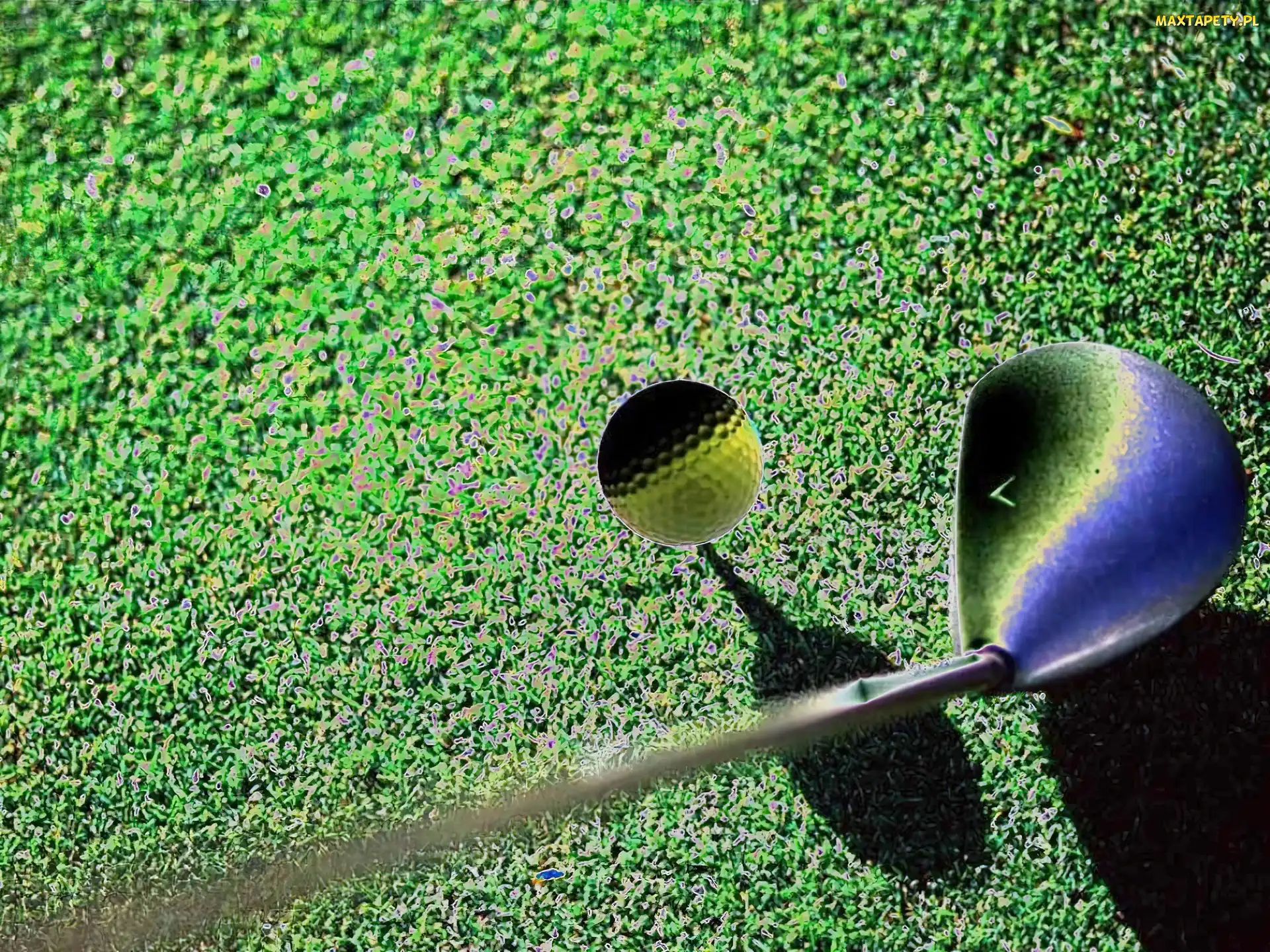 piłka do golfa , kij golfowy, Sportowe Golf