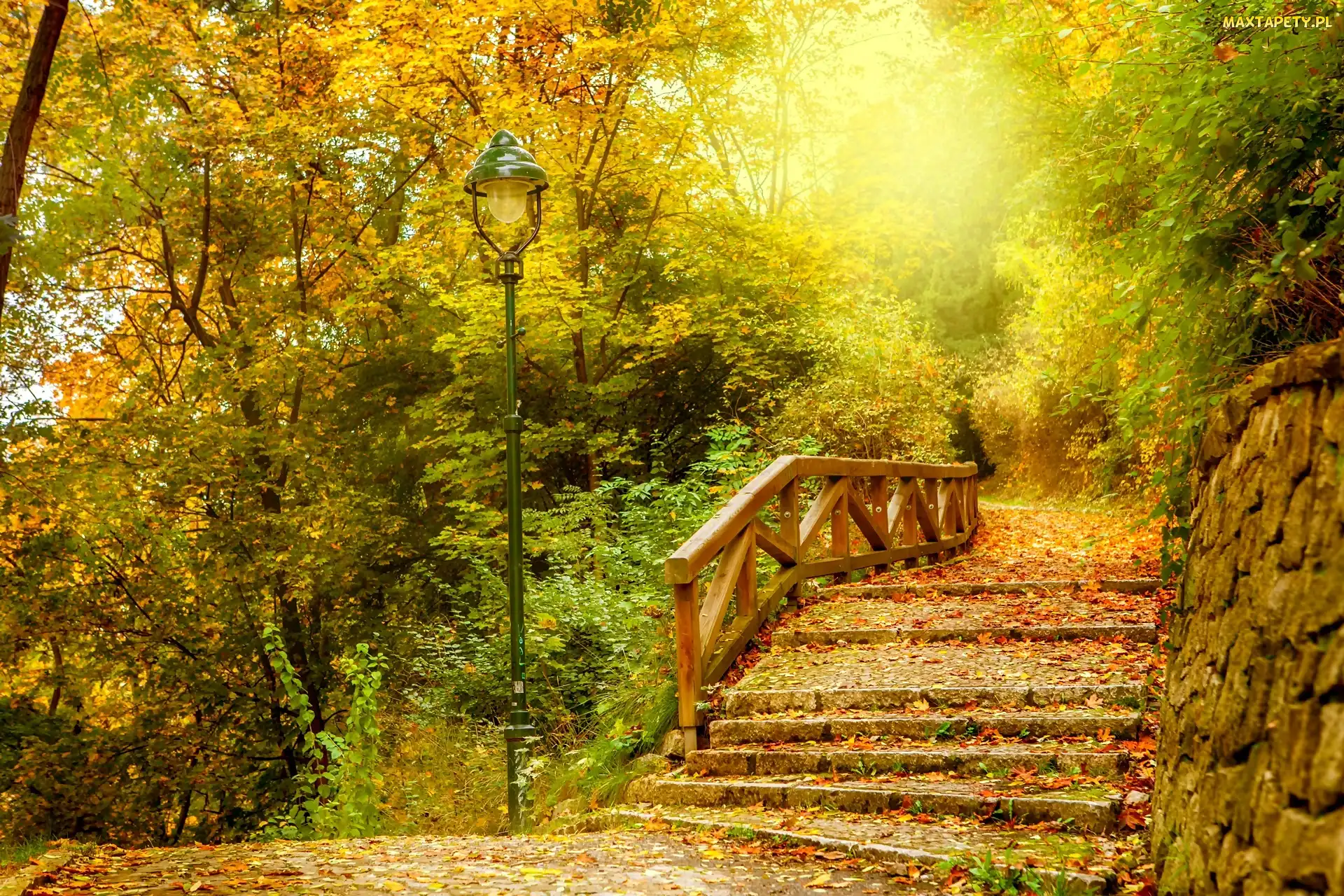 Schody, Lampa, Jesień, Park