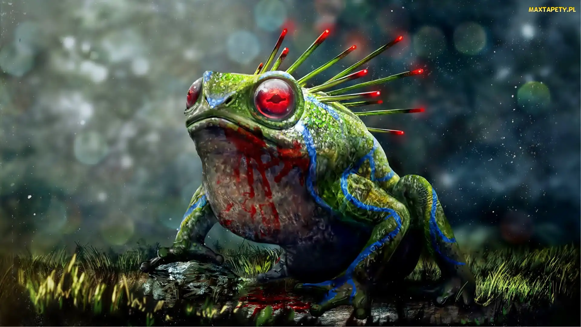 Demonicon, Żaba, The Dark Eye