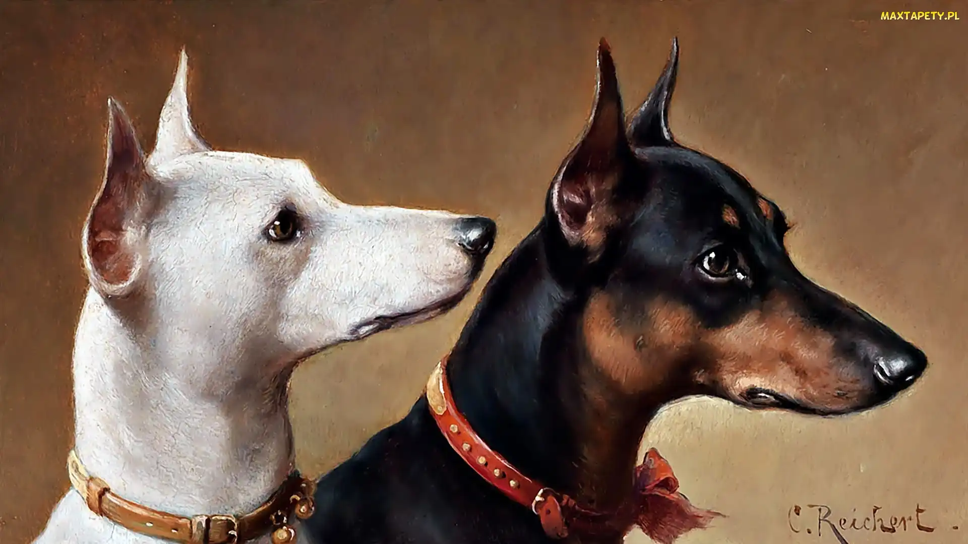 Dobermany, Obraz, Carl Reichert