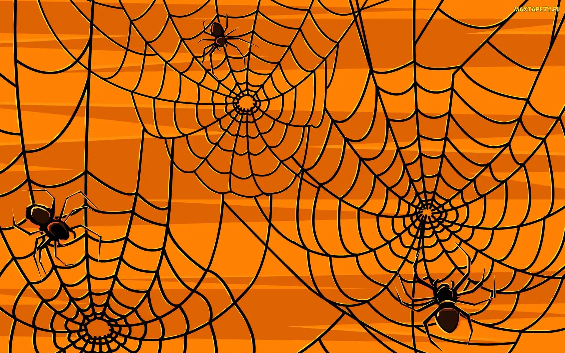 Halloween, Pająki, Pajęczyna