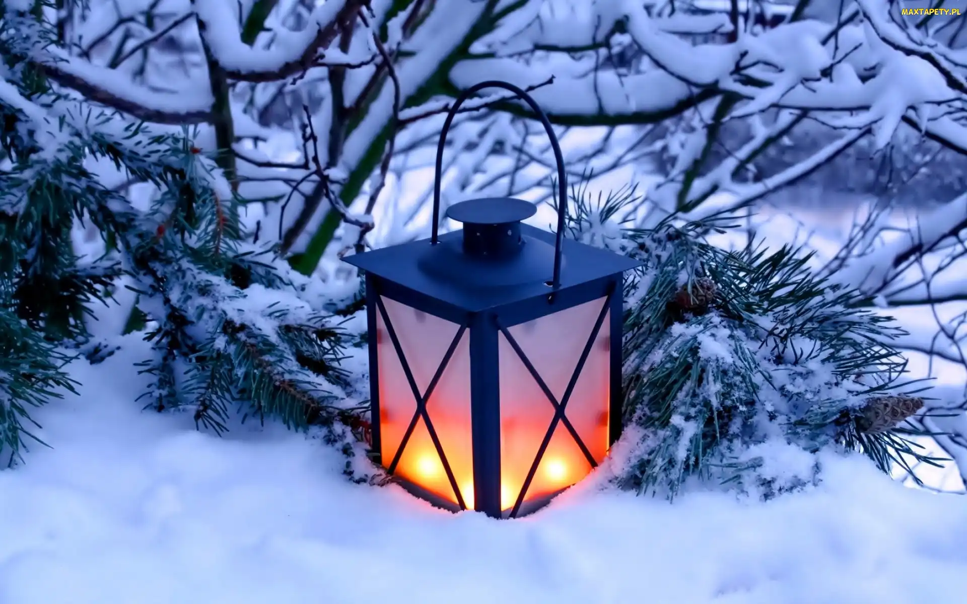 Śnieg, Zima, Gałązki, Ośnieżone, Lampion, Dekoracja