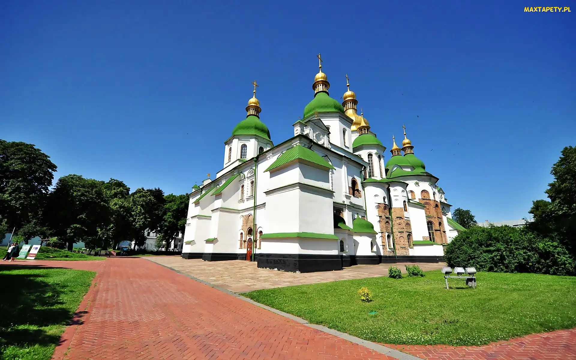 Katedra, Św. Zofii, Ukraina, Aleja, Kijów, Drzewa