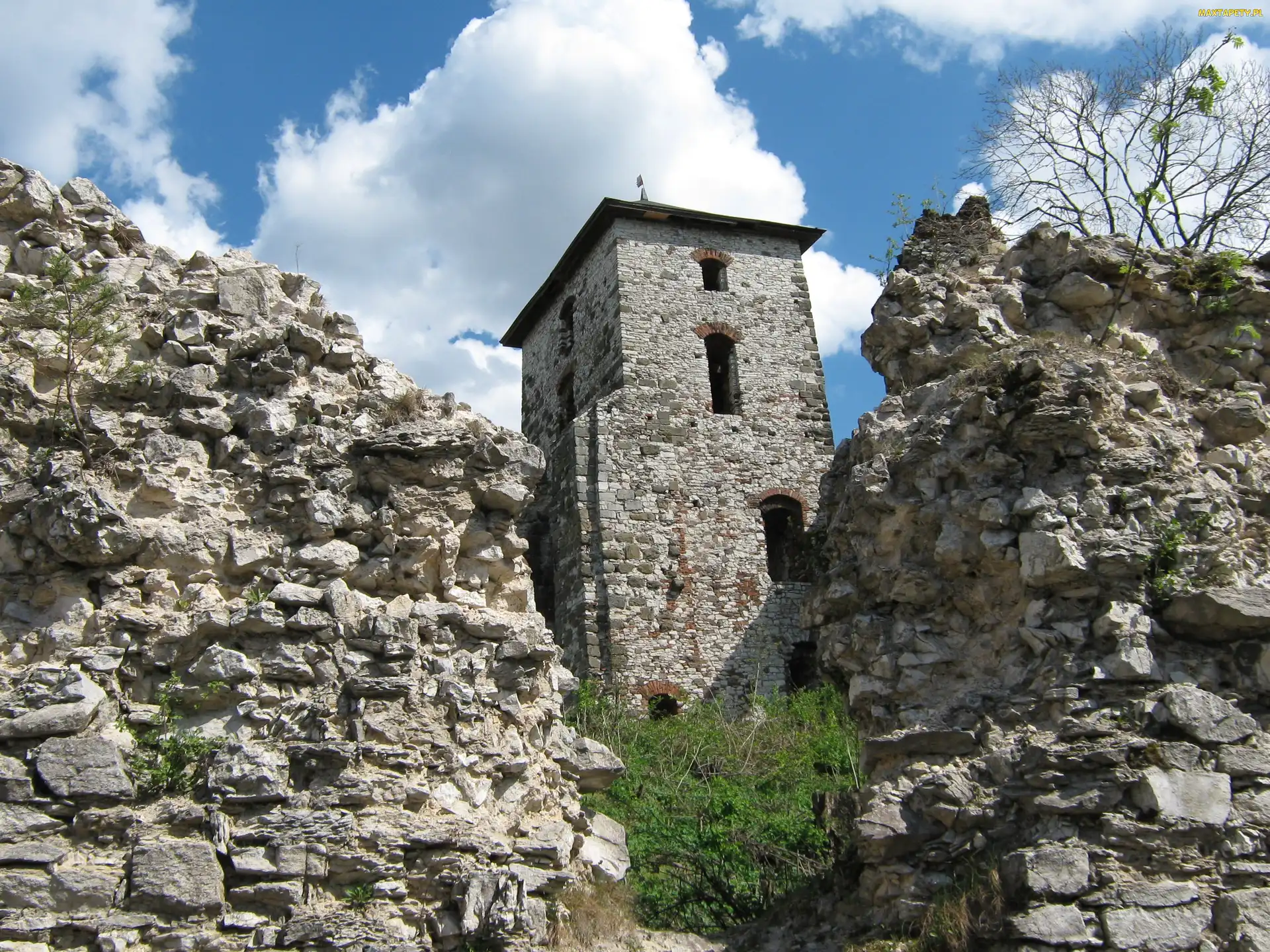 Zamek, Ruiny, Baszta, Mur