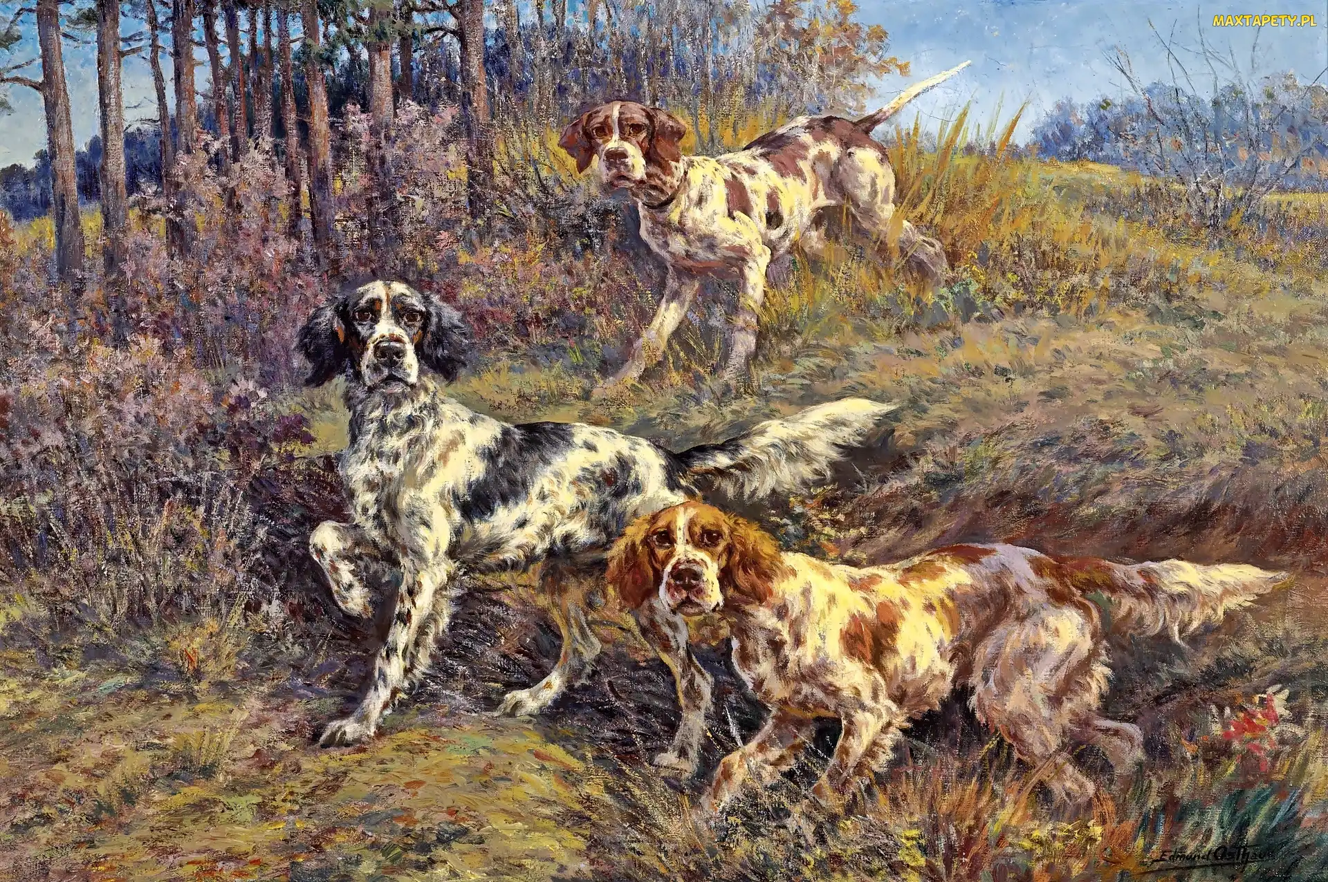 Edmund, Obraz, Osthaus, Na Polowaniu, Henry