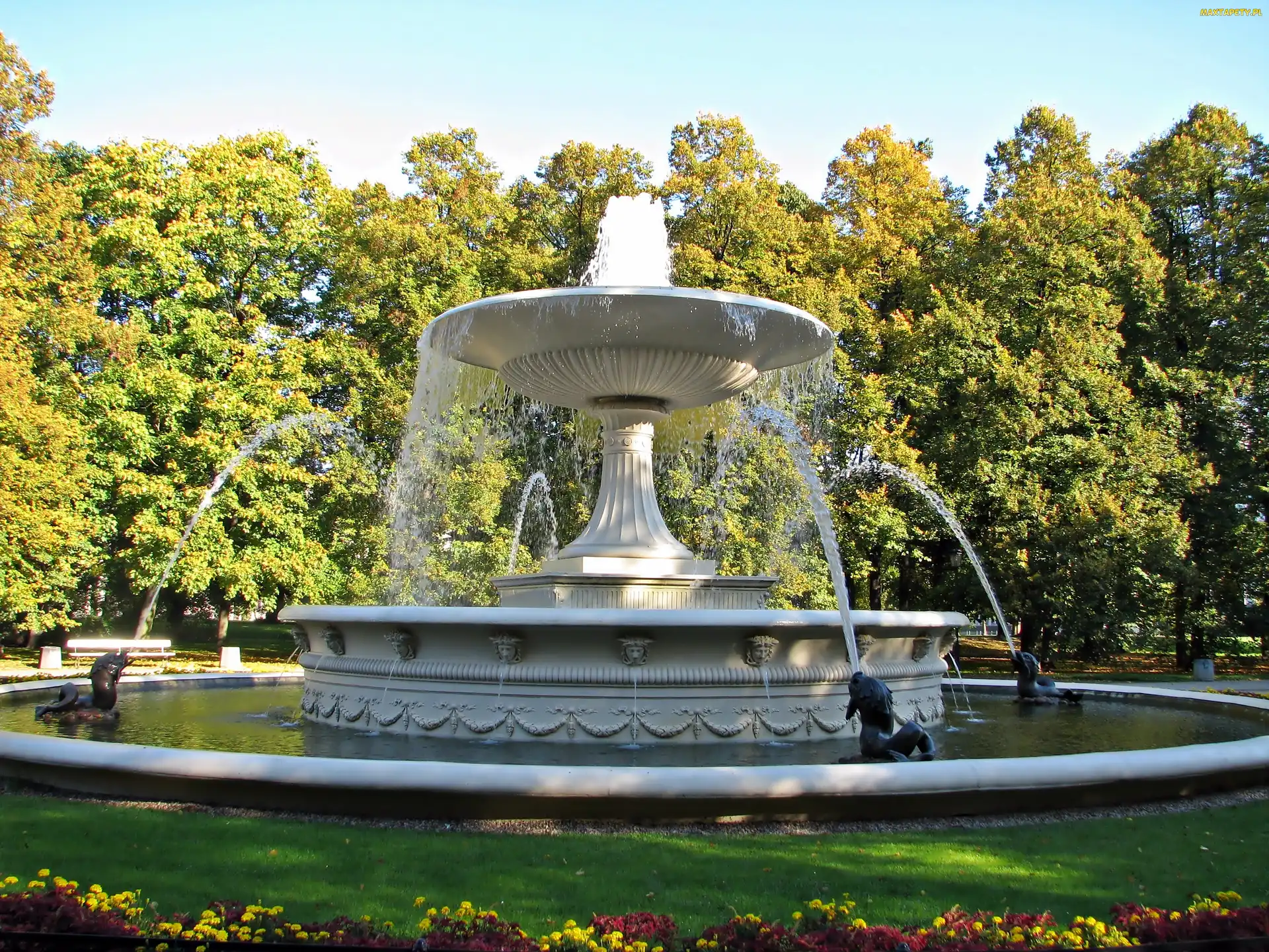 Fontanna, Drzewa, Park
