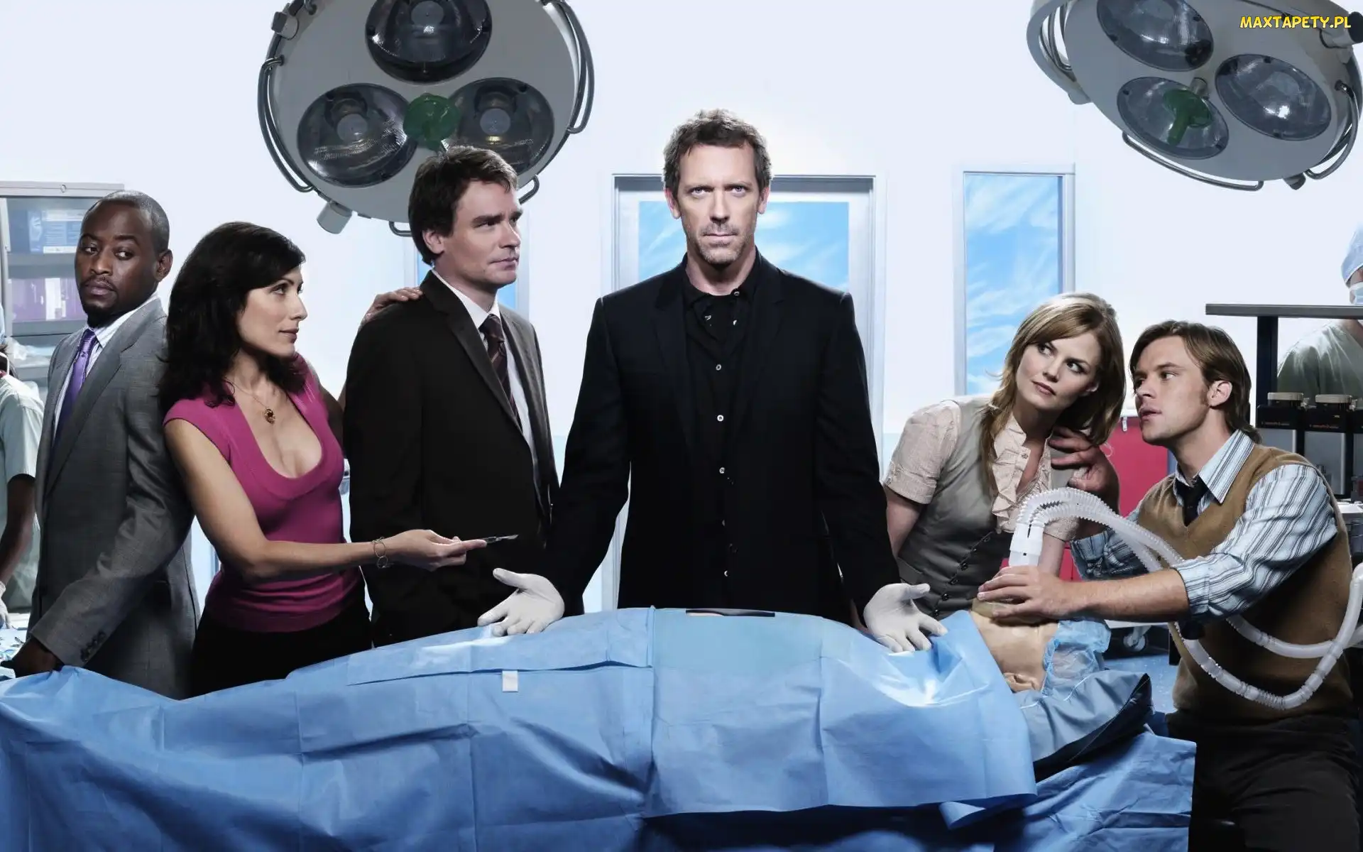 Hugh Laurie, Serial, Dr House, Aktorzy