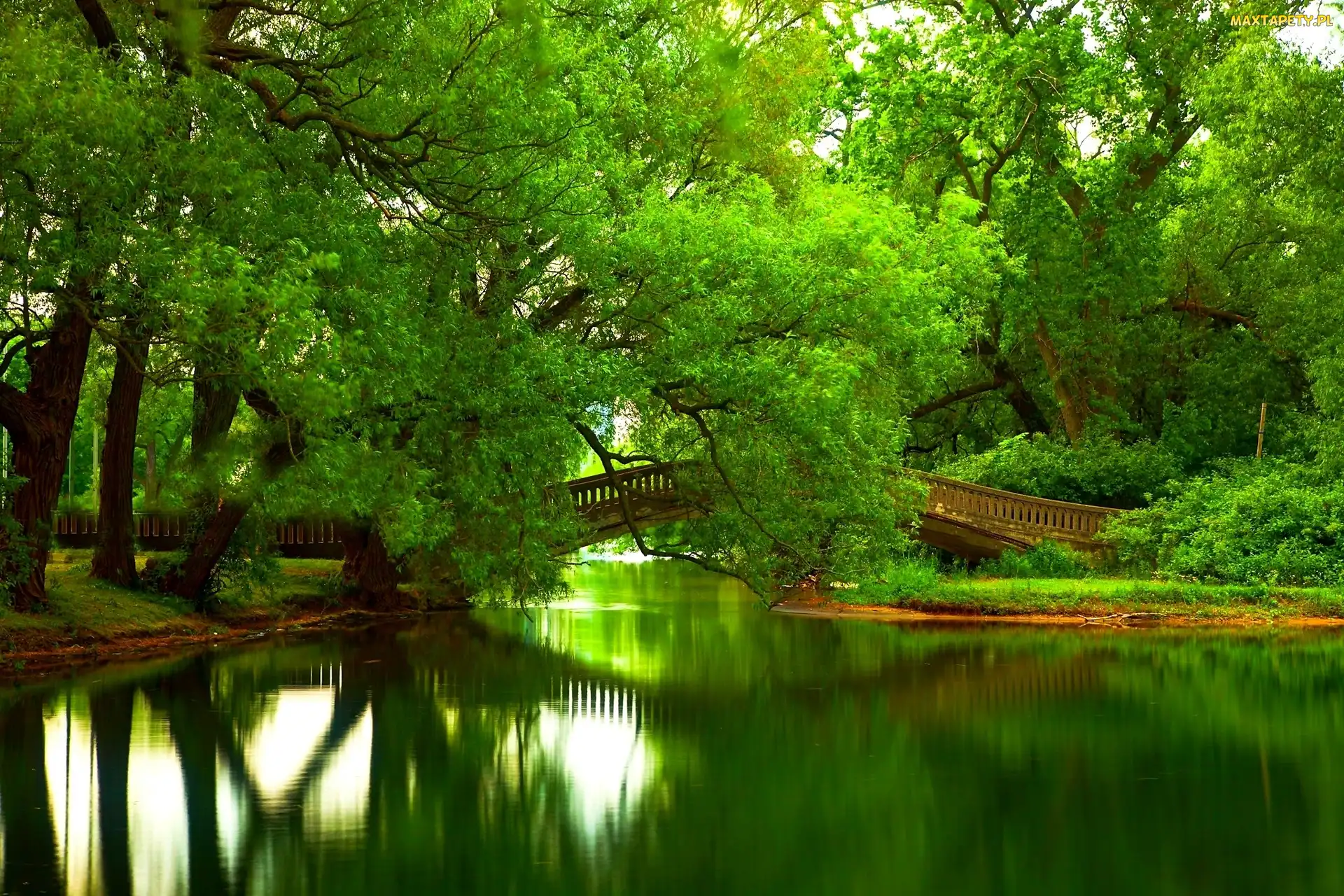 Park, Zieleń, Most, Rzeka