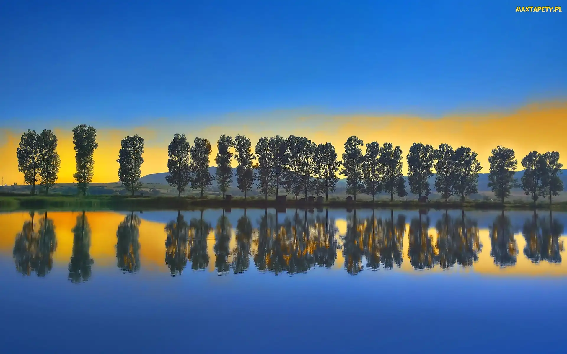 Jezioro, Drzewa, Niebo
