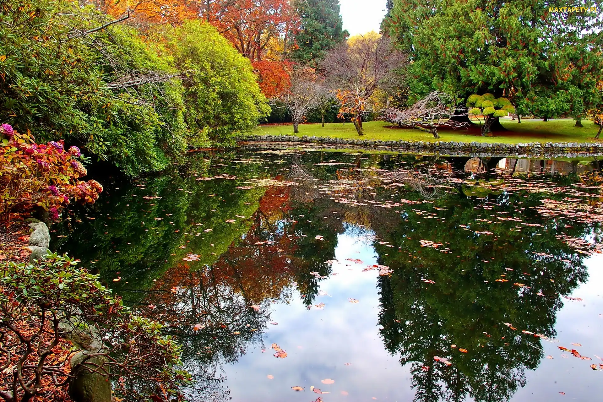 Hatley, Victoria, Jesień, Staw, Park