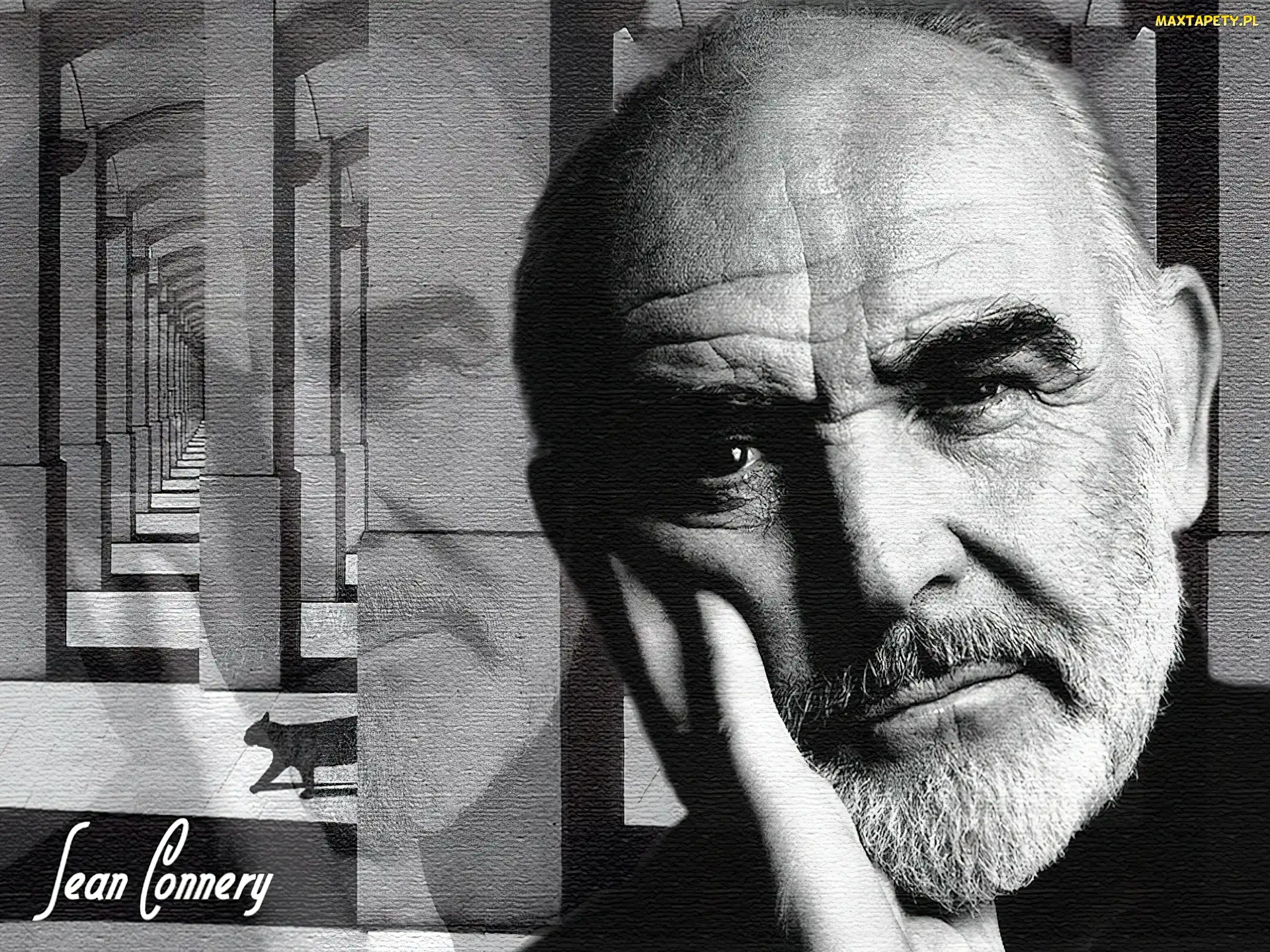 Sean Connery, kot