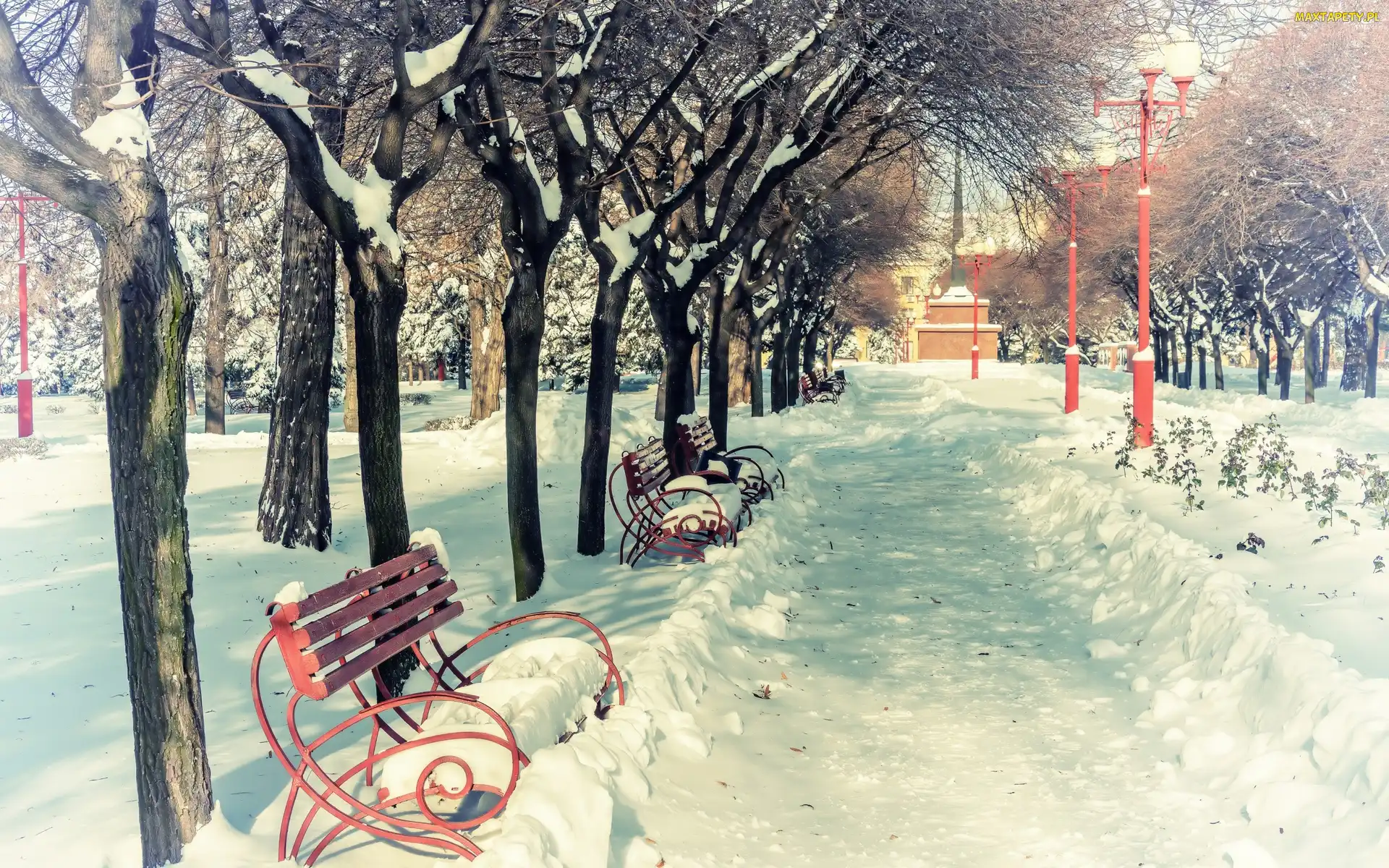 Park, Ławki, Zima, Aleja