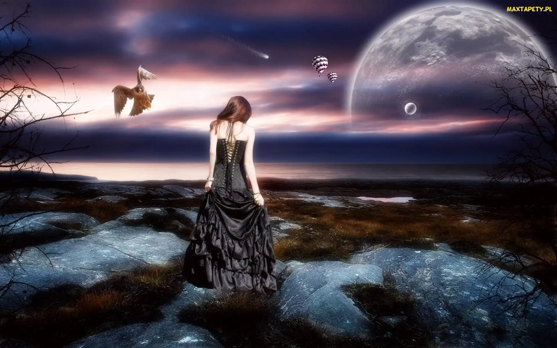 Dziewczyna, Fantasy, Księżyc, Sowa