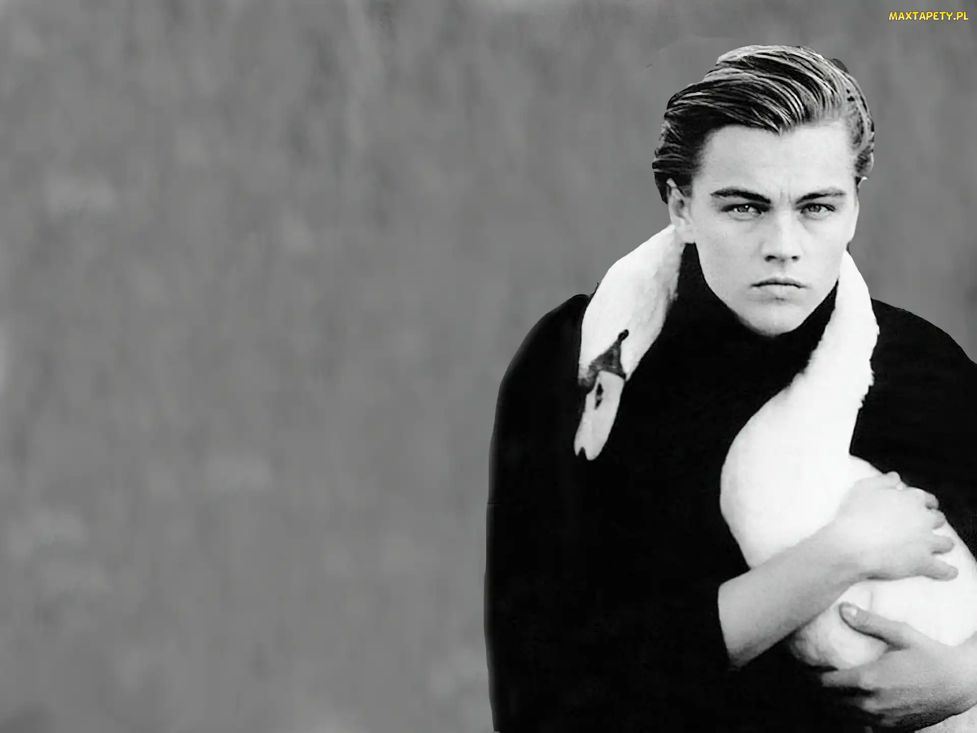 ptak, Leonardo DiCaprio